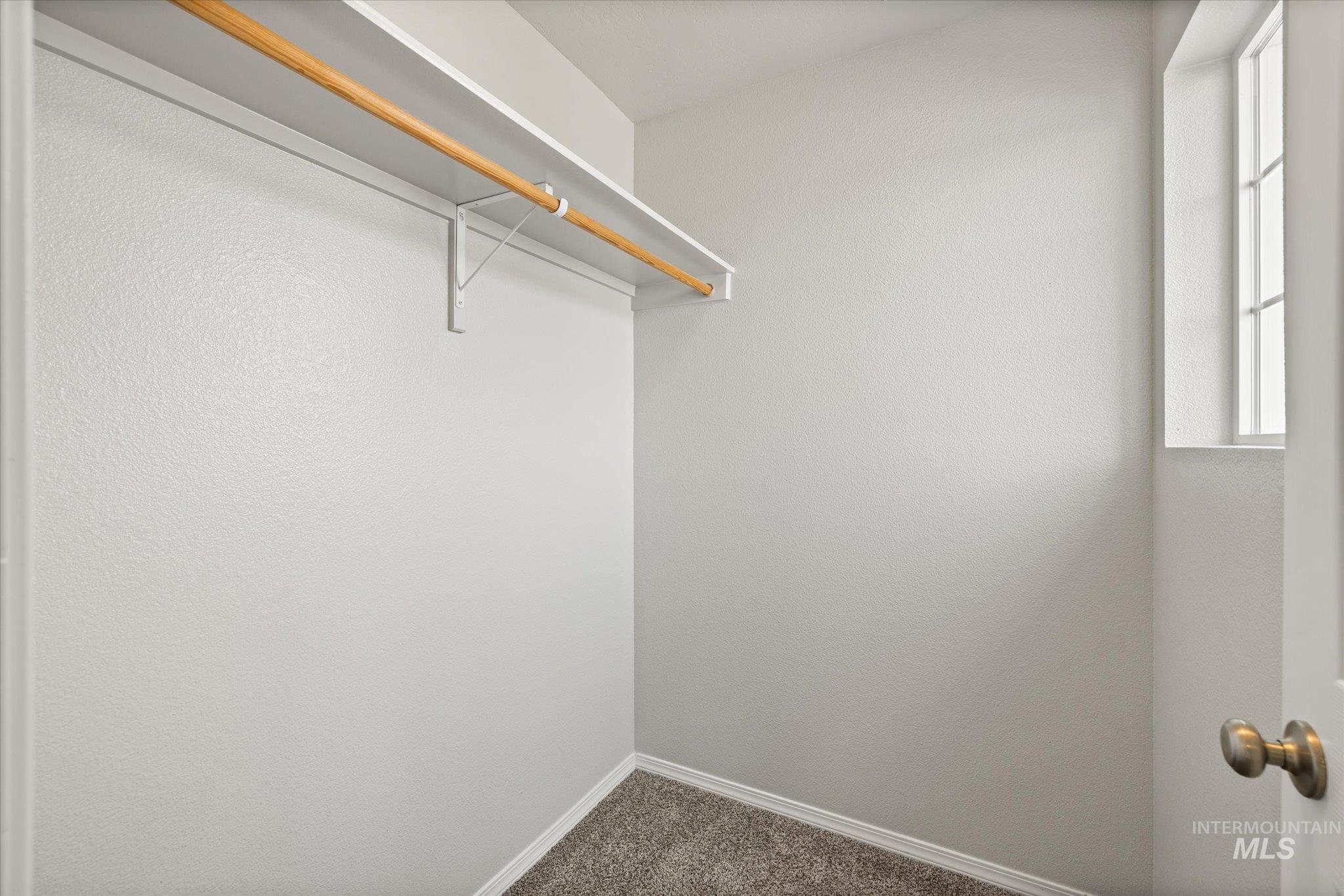Spacious closet with carpet floors
