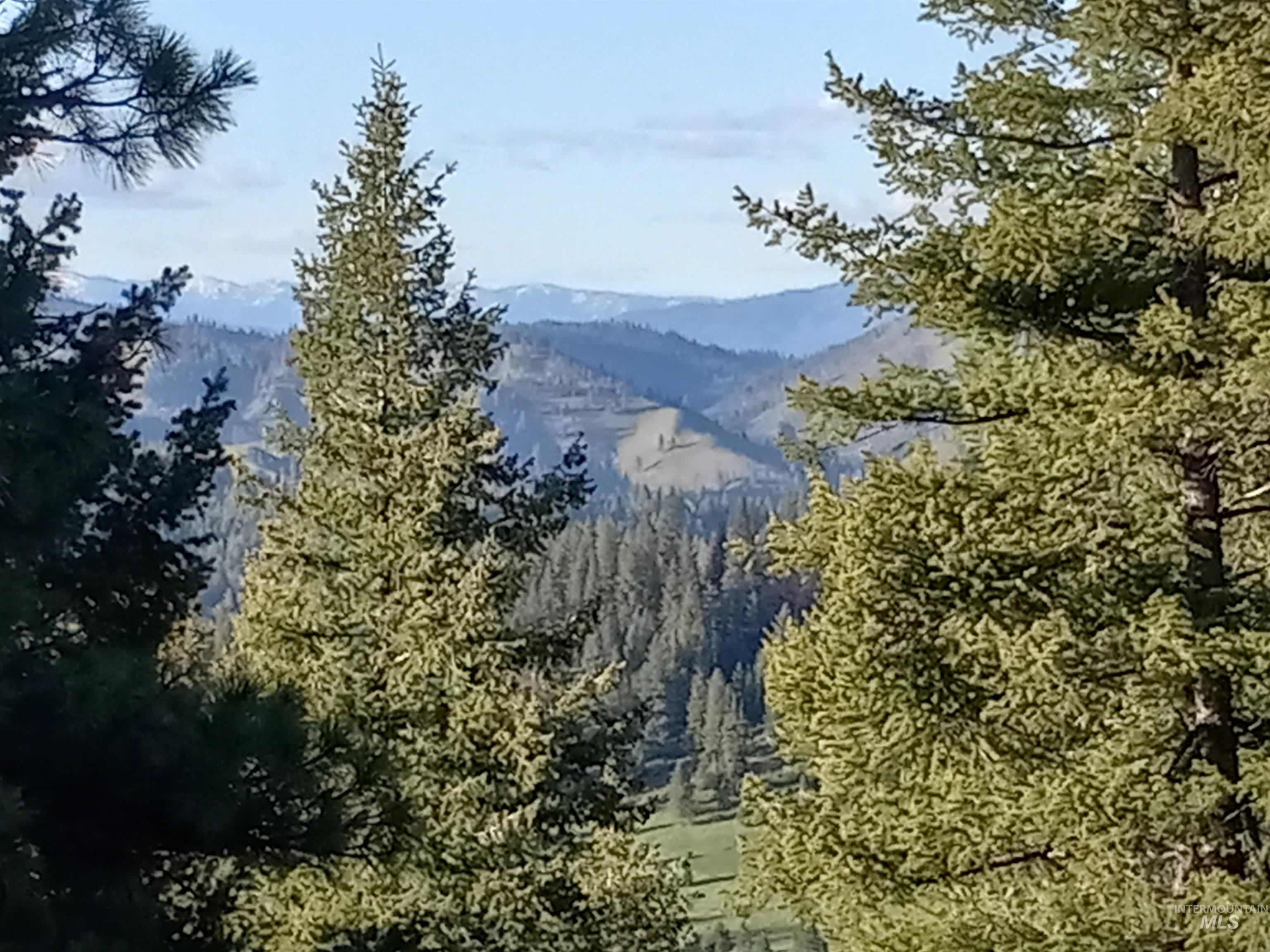 Mountain view featuring a forest
