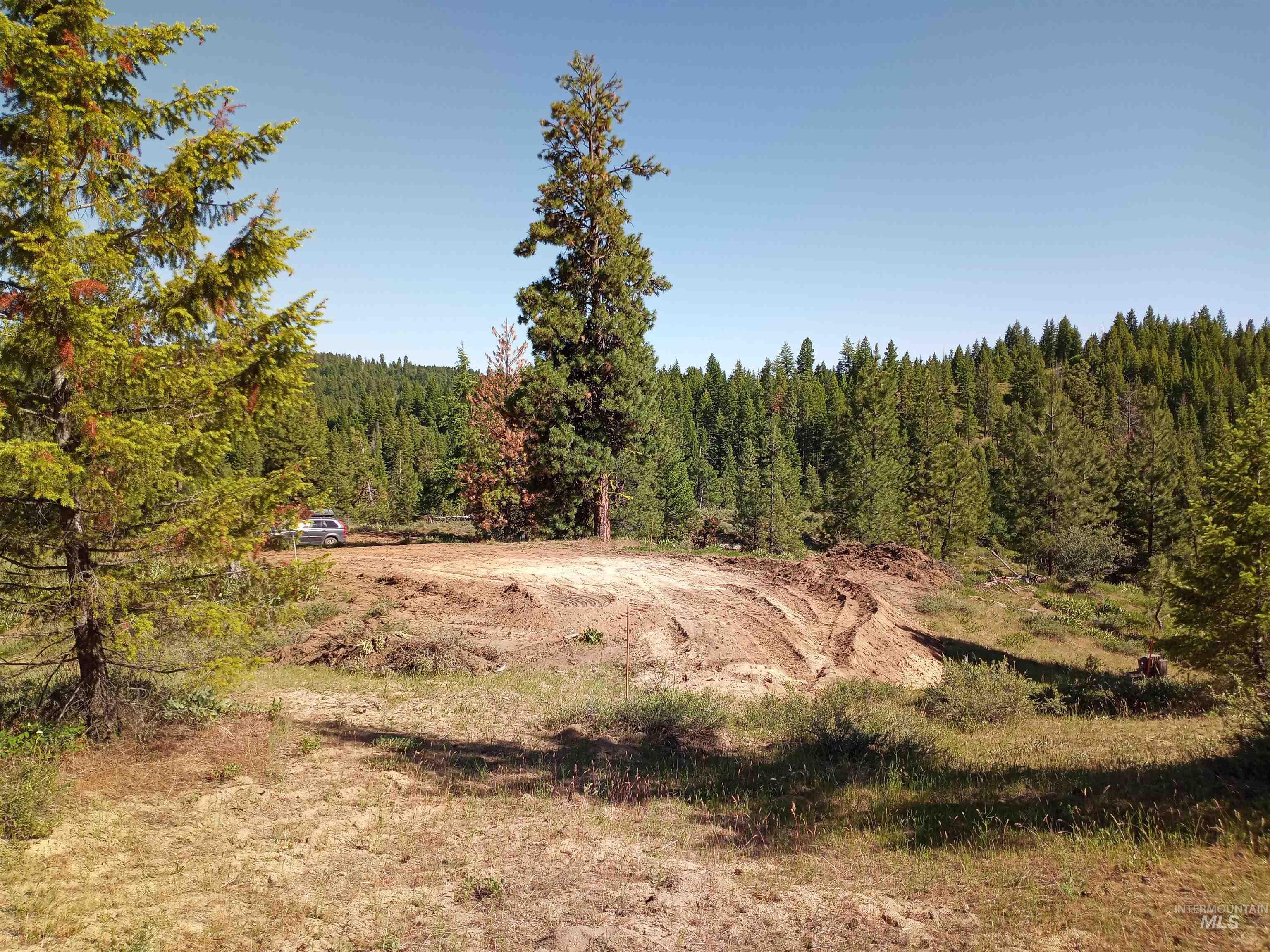 View of wooded area