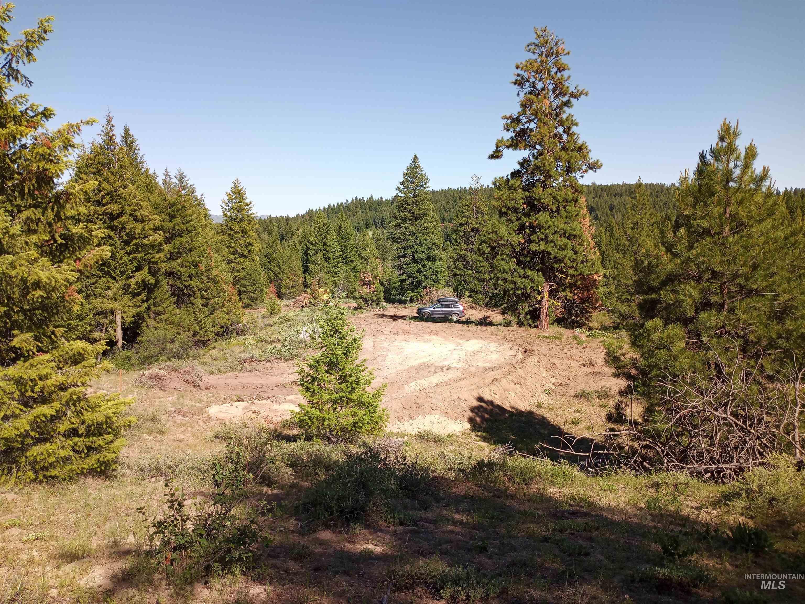 View of woods