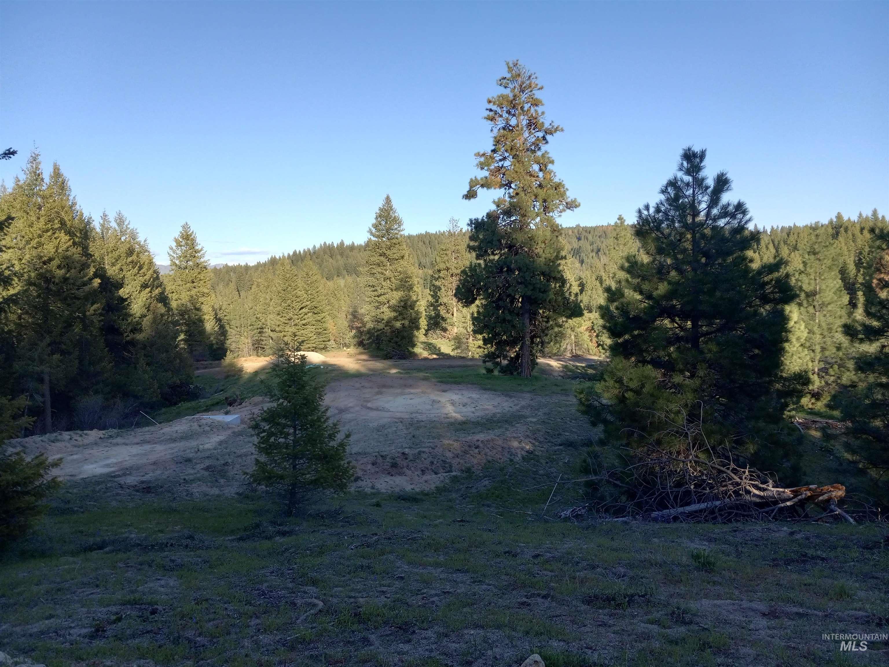 View of wooded area