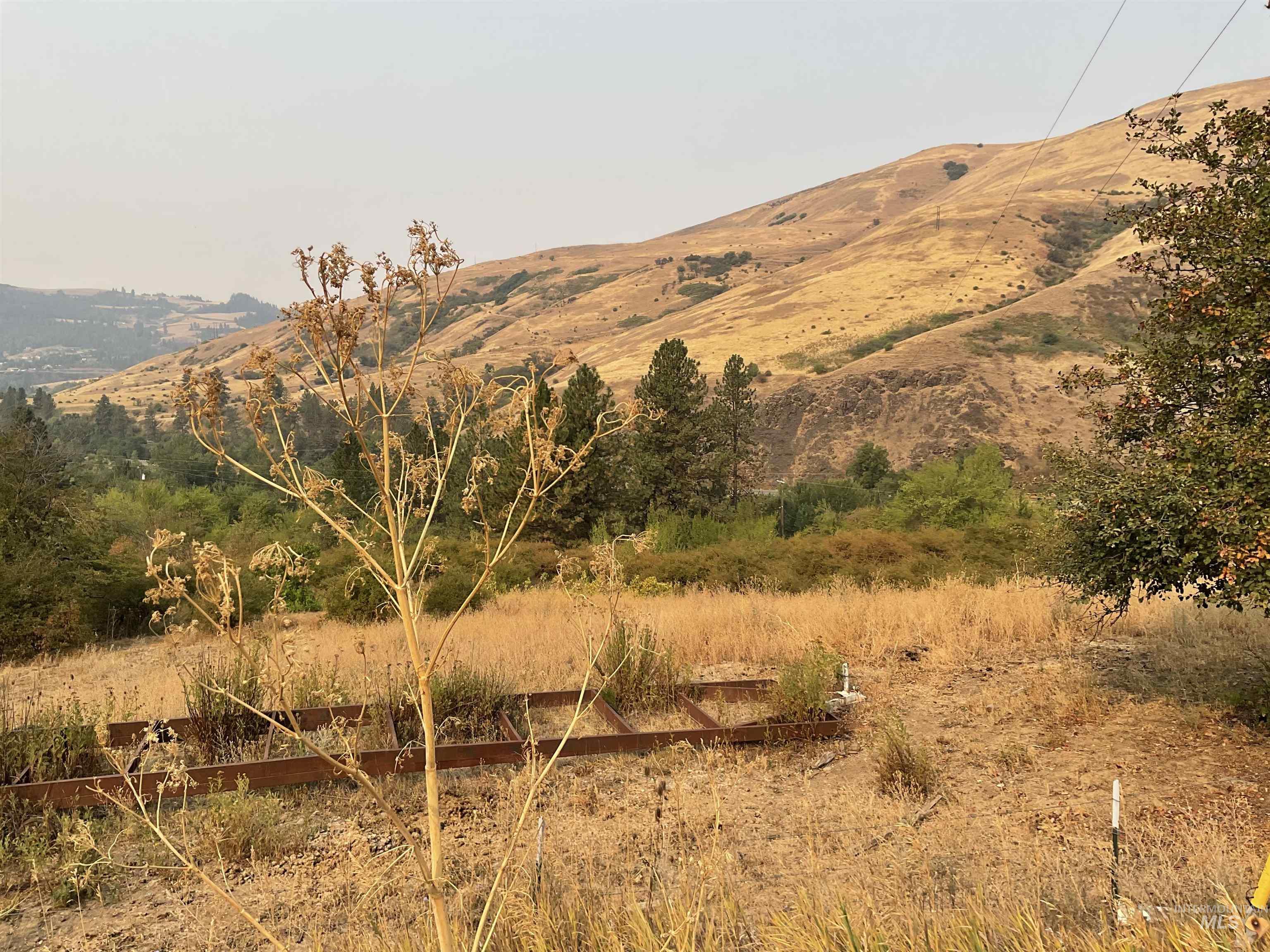 View of mountain background