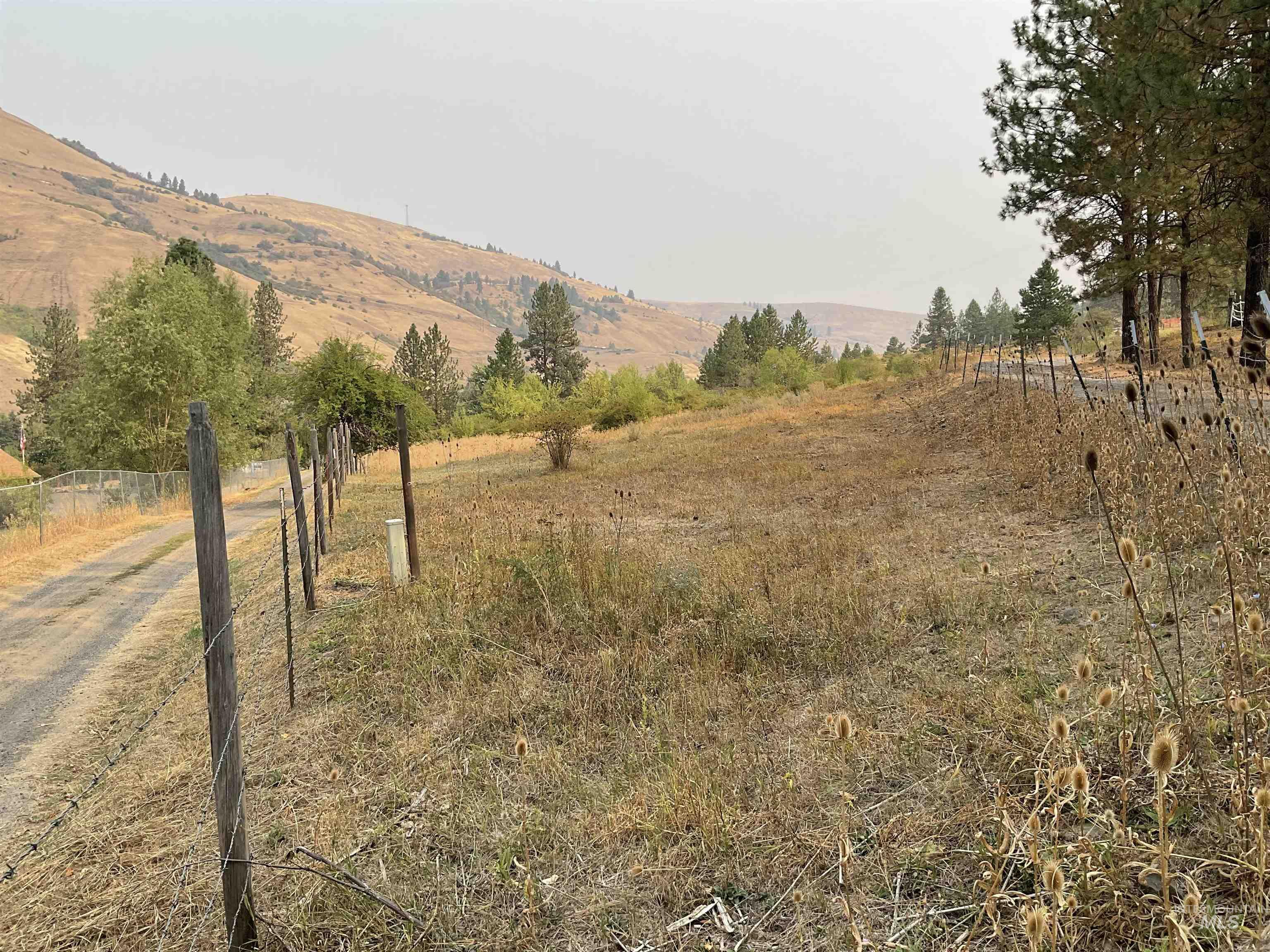 View of yard featuring a rural view and a mountain view