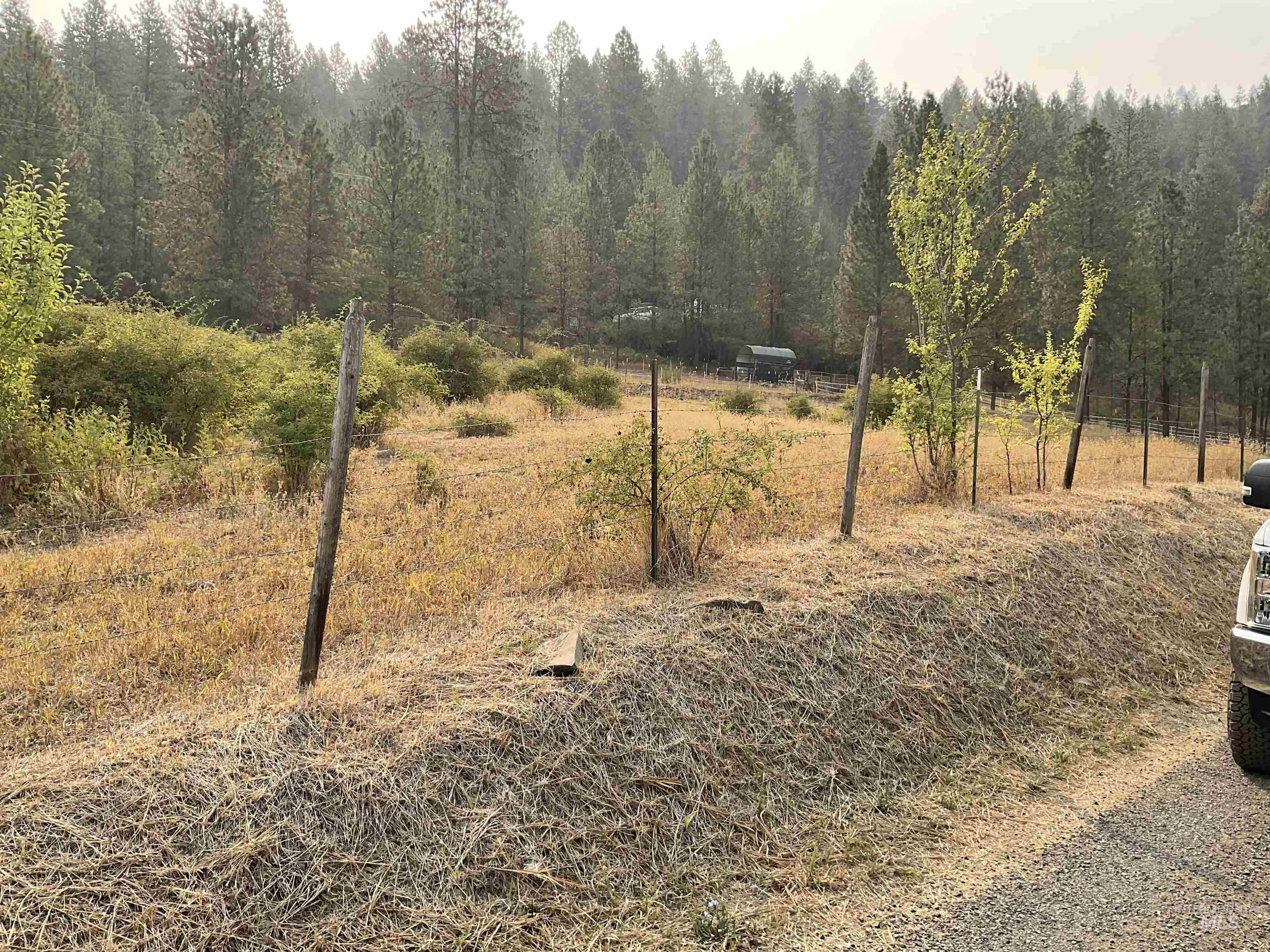 View of yard featuring a forest view and a rural view