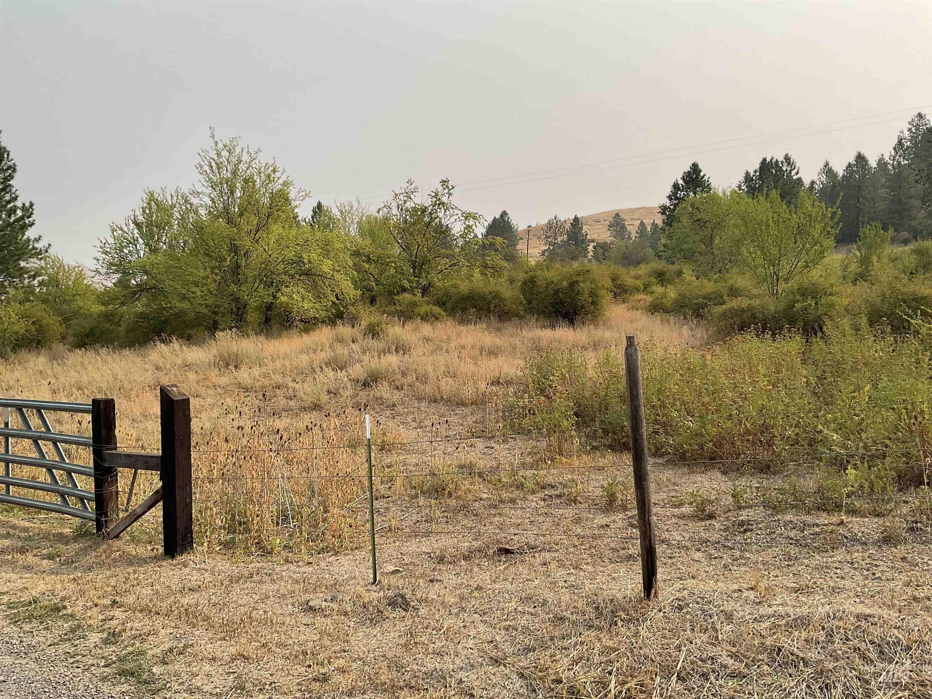View of yard with a rural view and view of wooded area