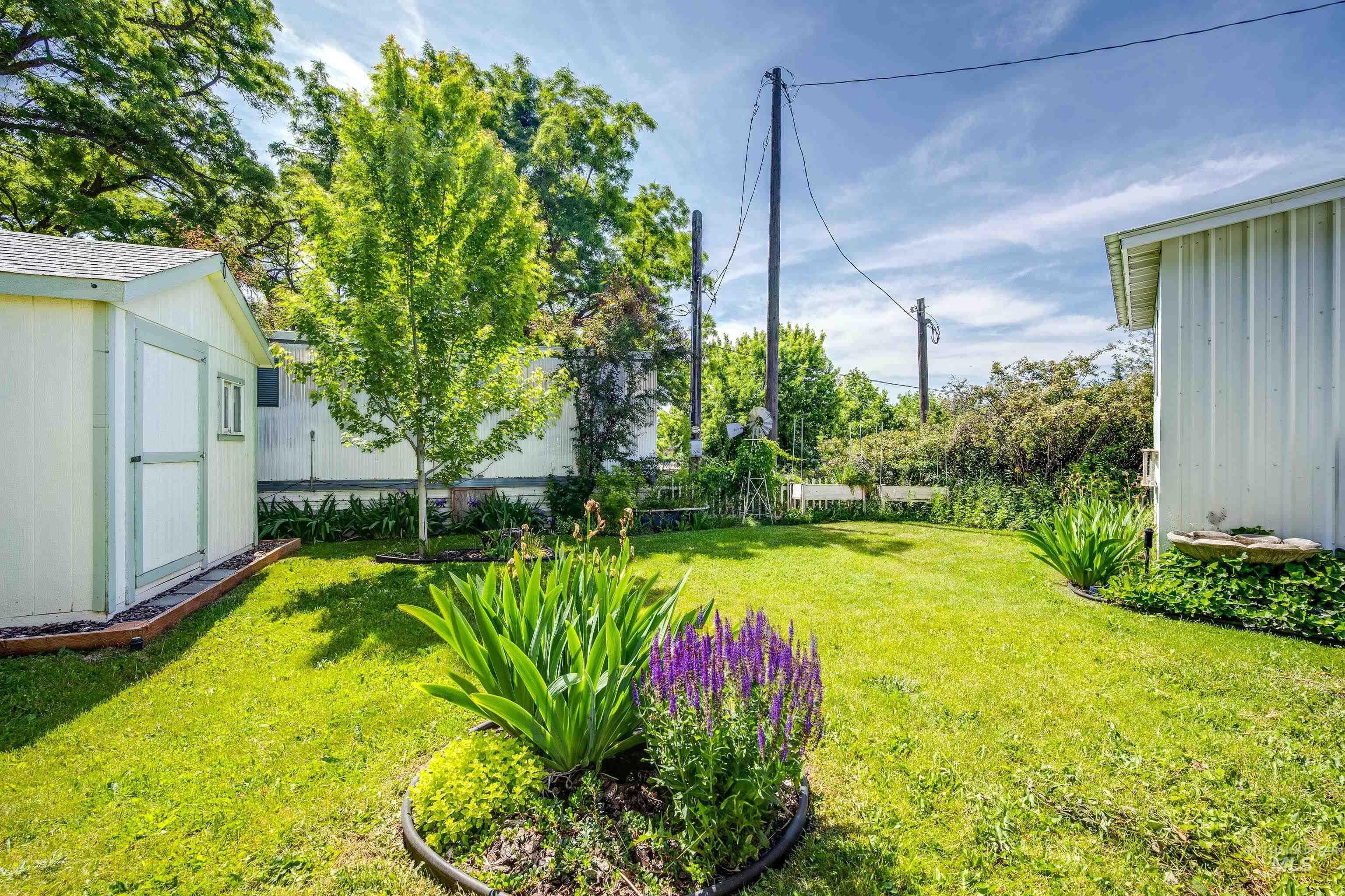 View of yard featuring a shed