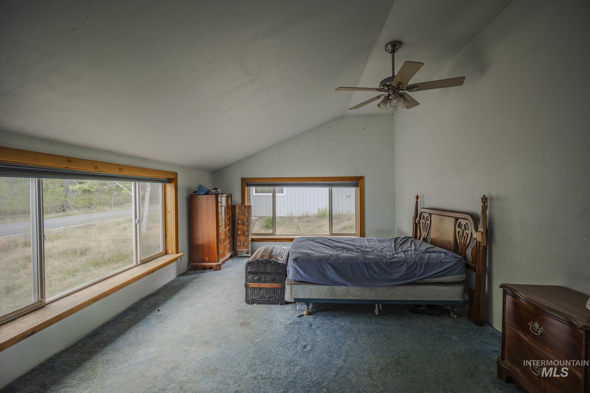 Bedroom with lofted ceiling, carpet, and a ceiling fan