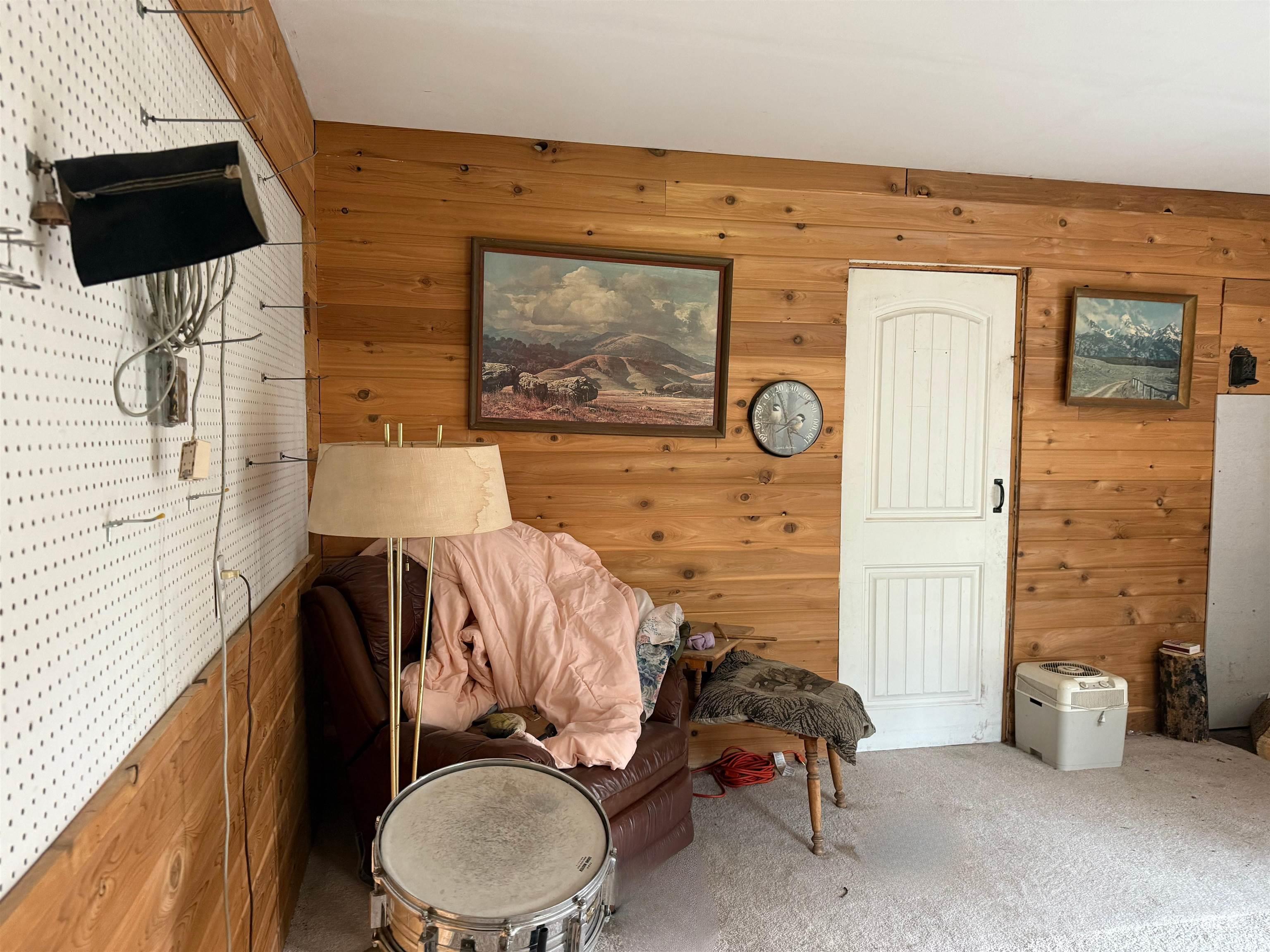 Sitting room featuring wooden walls and carpet