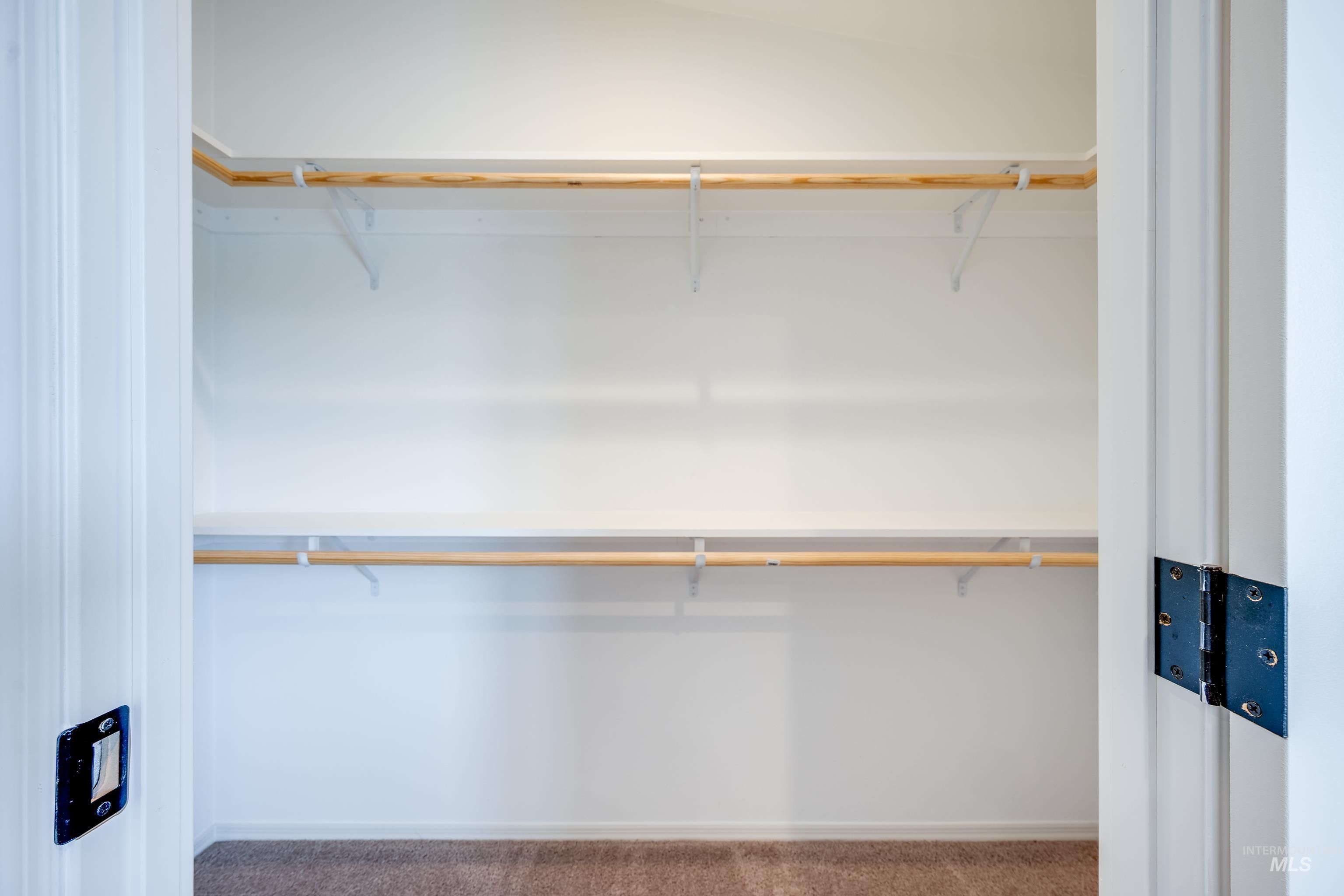 Walk in closet with dark carpet