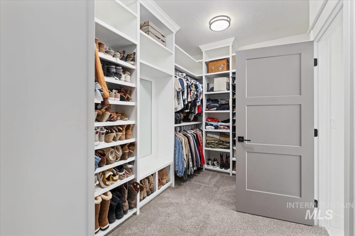 Spacious closet featuring light carpet