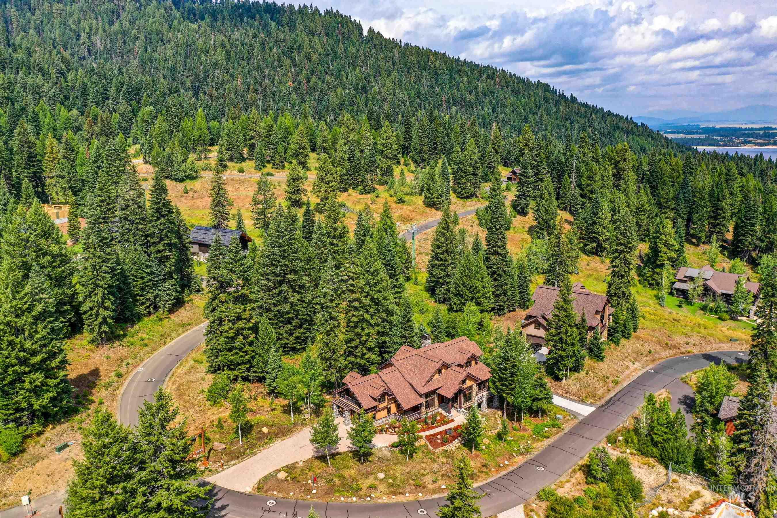 Bird's eye view of a heavily wooded area