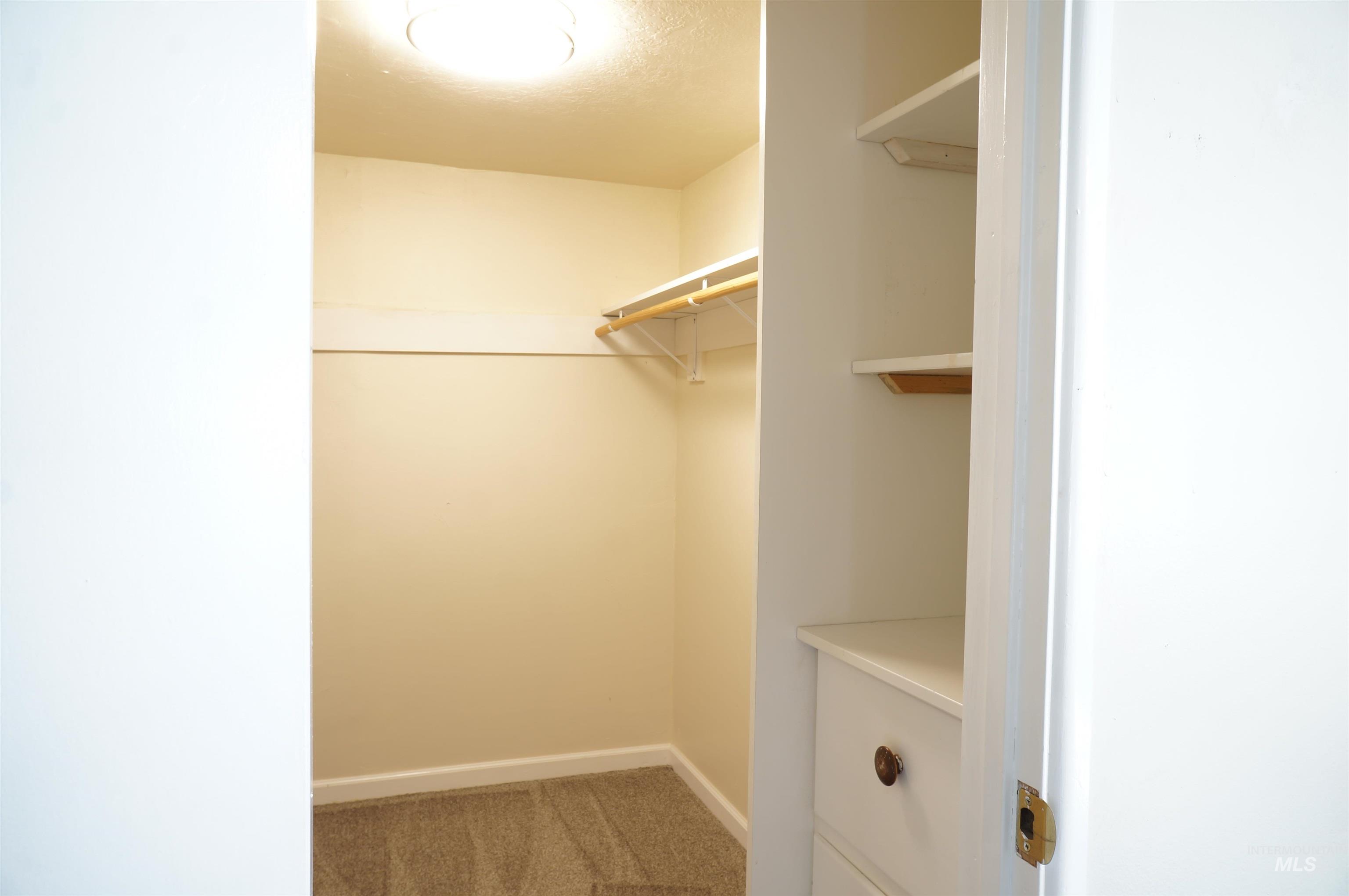 Spacious closet with light carpet