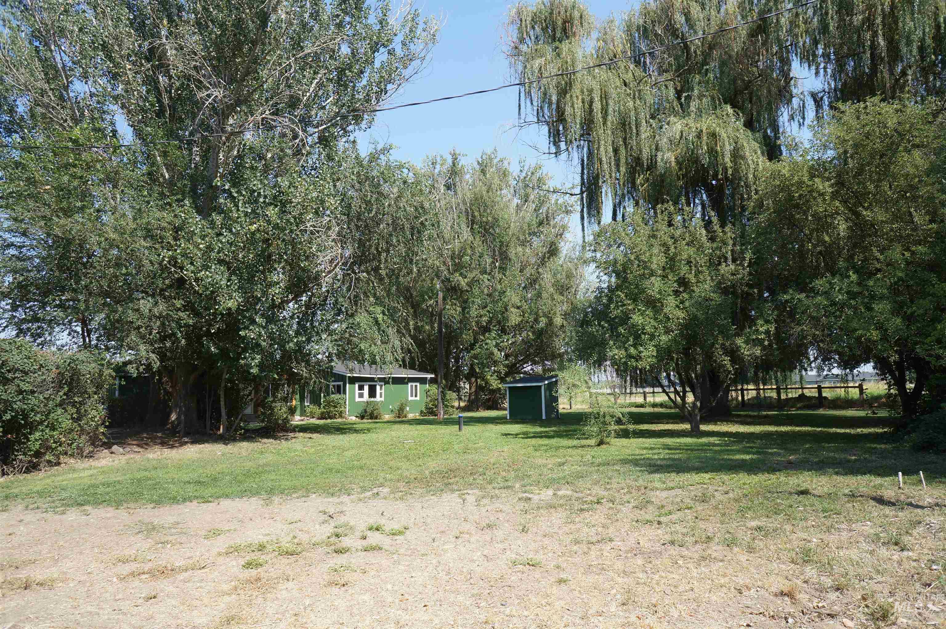 View of green lawn featuring a storage shed