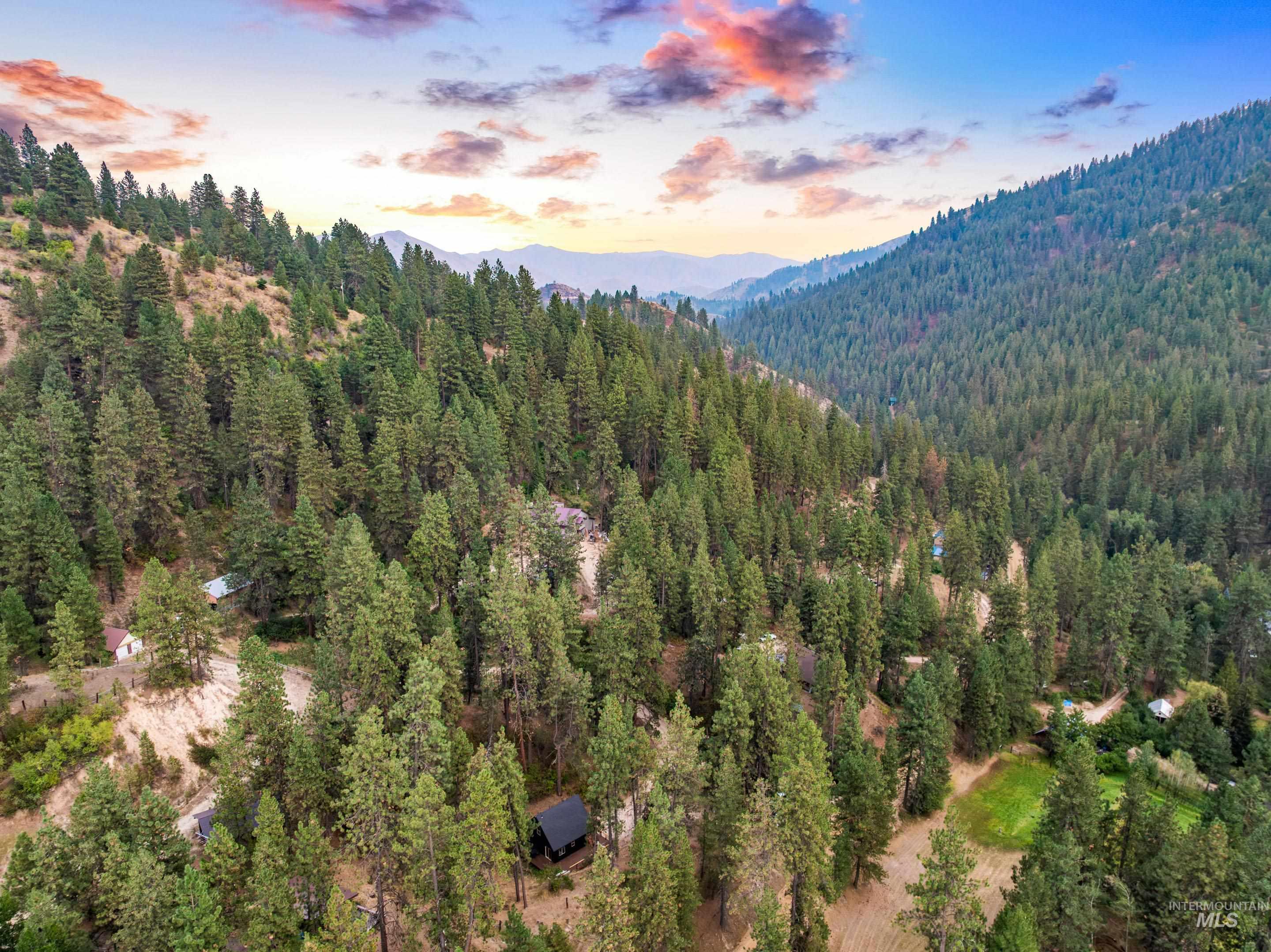 View of mountain background featuring a forest