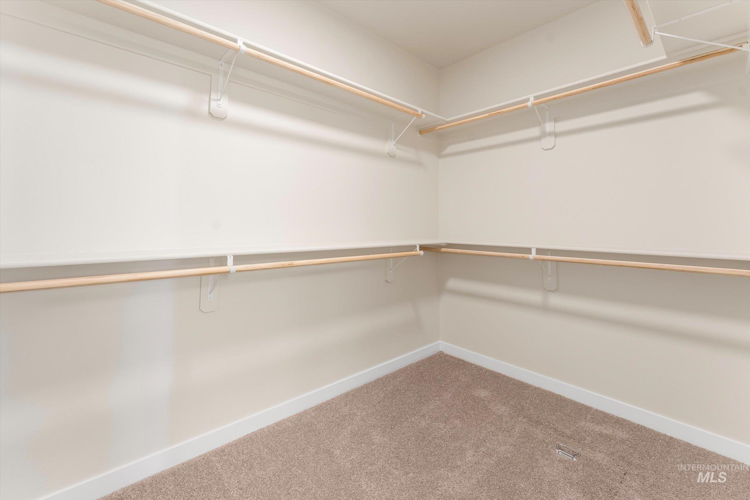 Walk in closet with light colored carpet