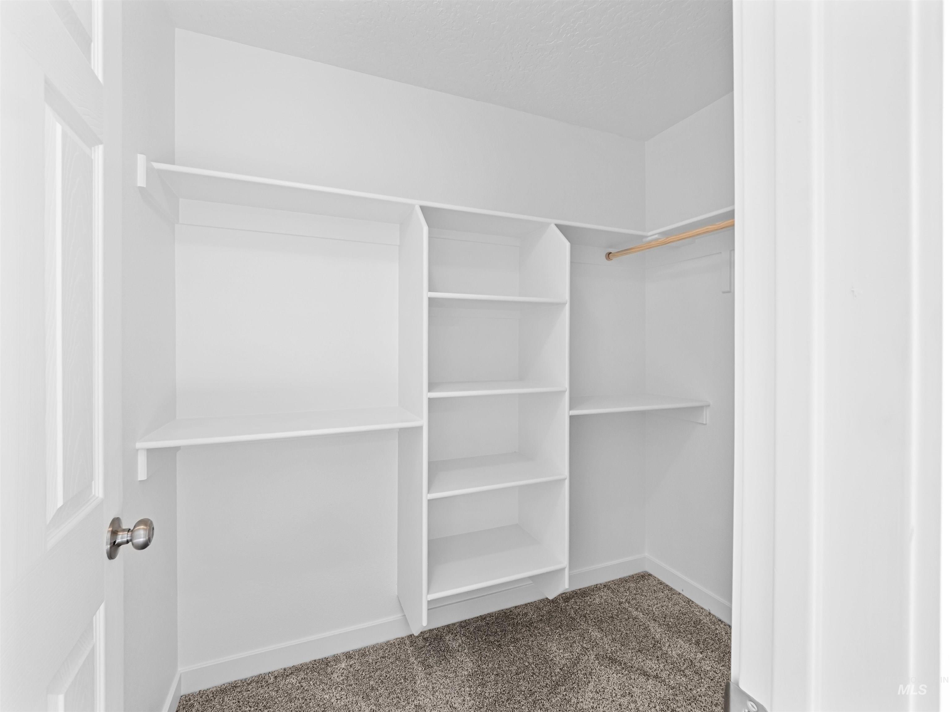 Spacious closet with dark carpet