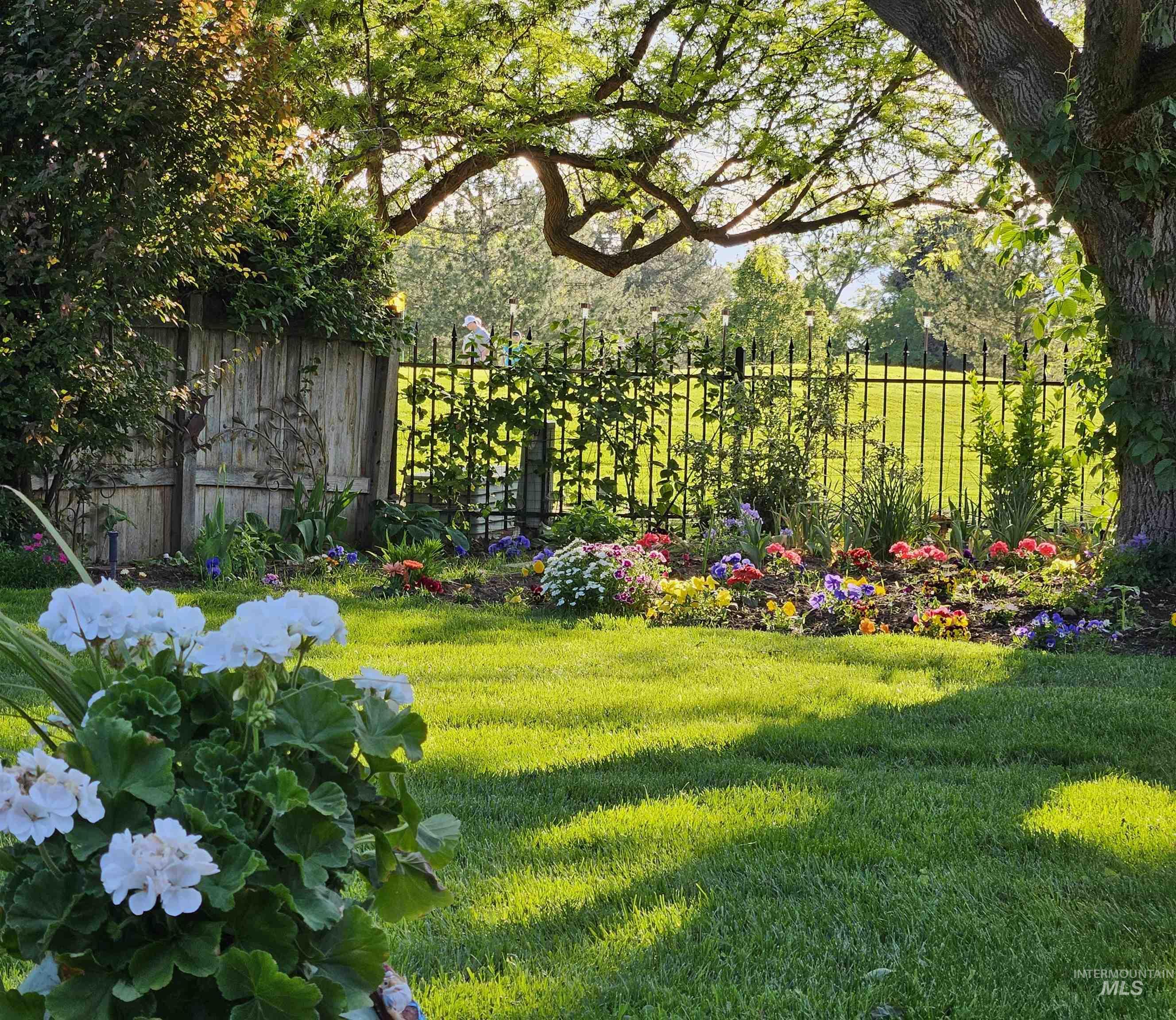Trees add to the serenity.  Hear the birds and relax from your lounge chairs..  Wake up barbeque time.
