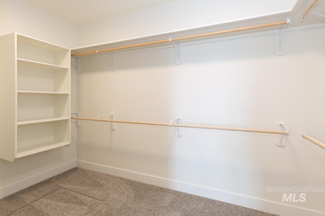 Walk in closet with carpet floors