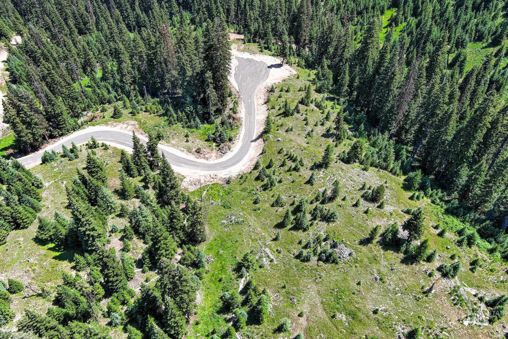 Aerial overview of property's location featuring a forest