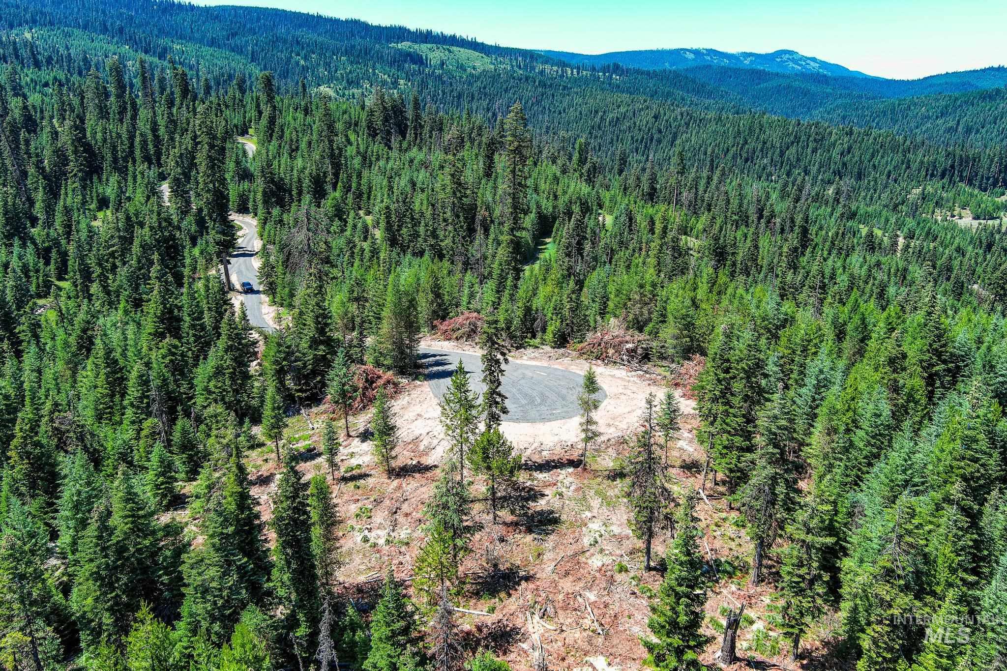 Bird's eye view of a heavily wooded area and mountains