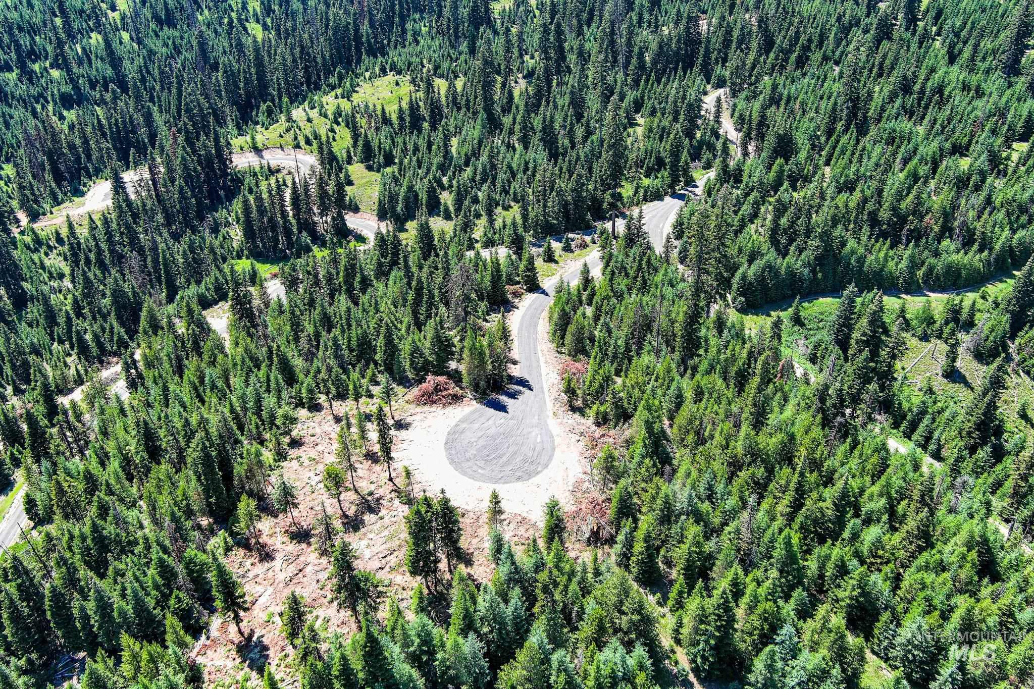 Drone / aerial view of a heavily wooded area