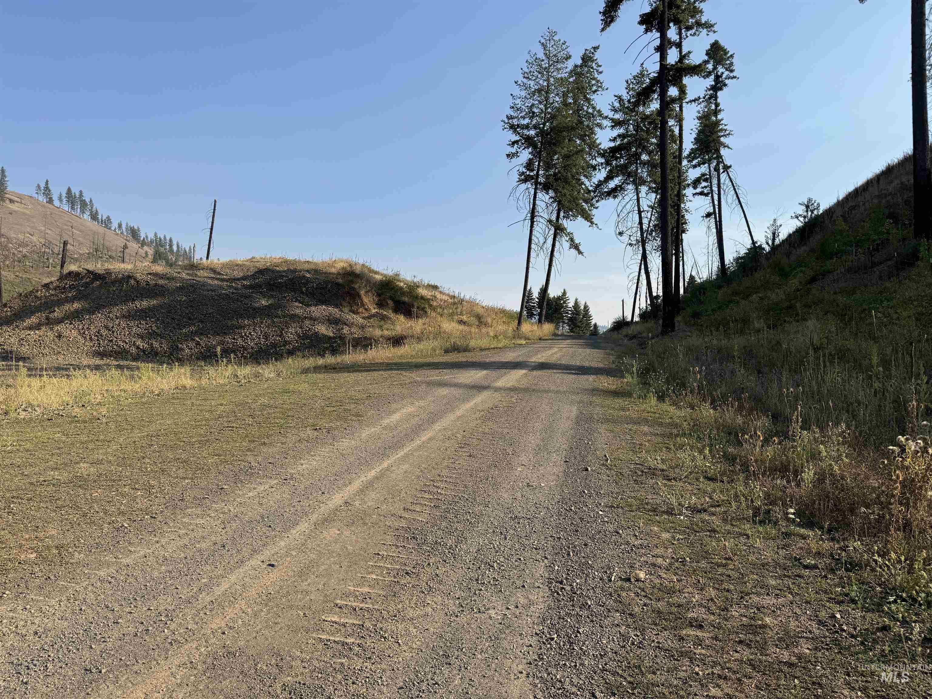 View of dirt / gravel road