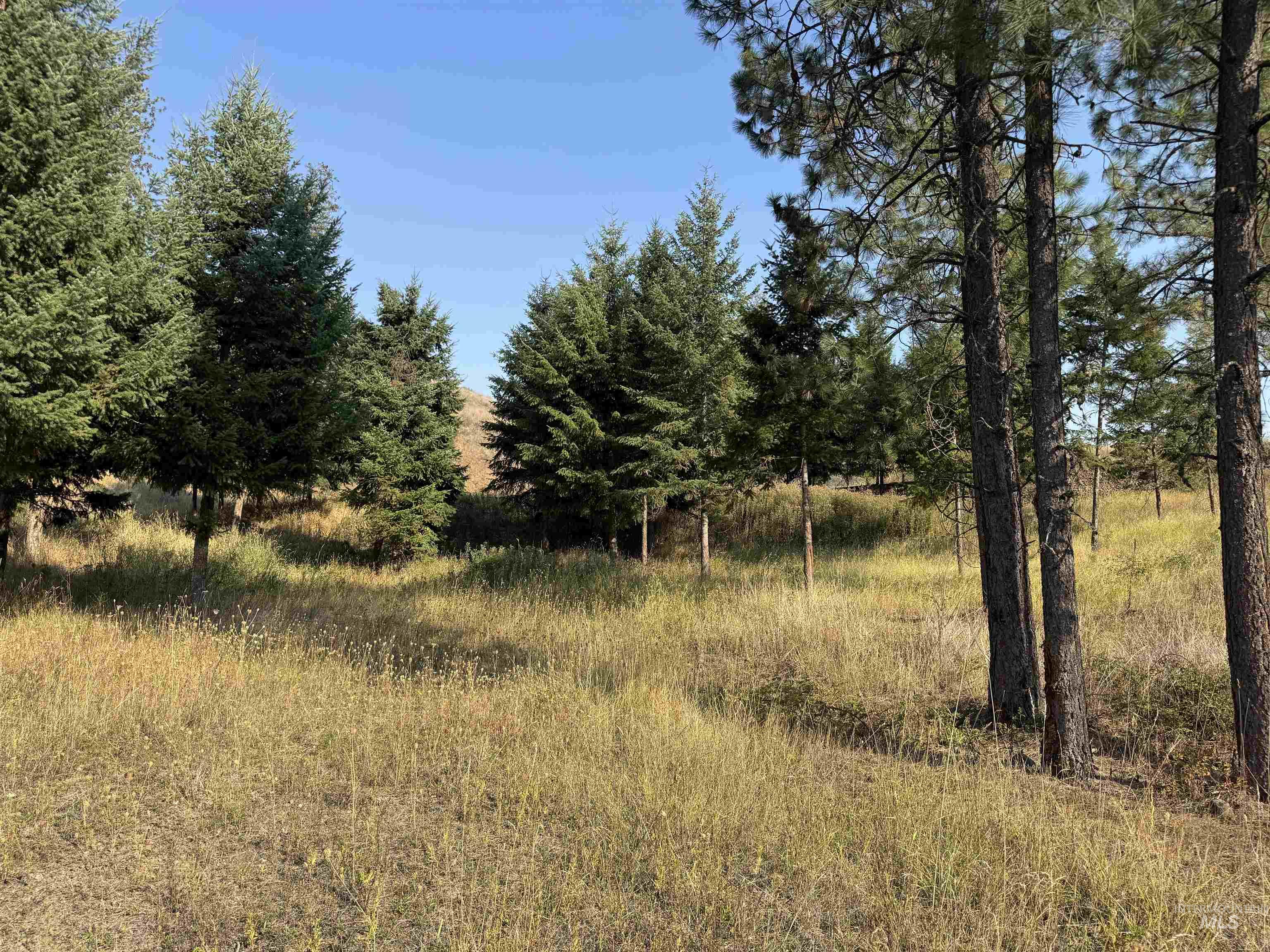 129 Meadow Lane, Kamiah, Idaho 83536, Land For Sale, Price $239,000, 98960775