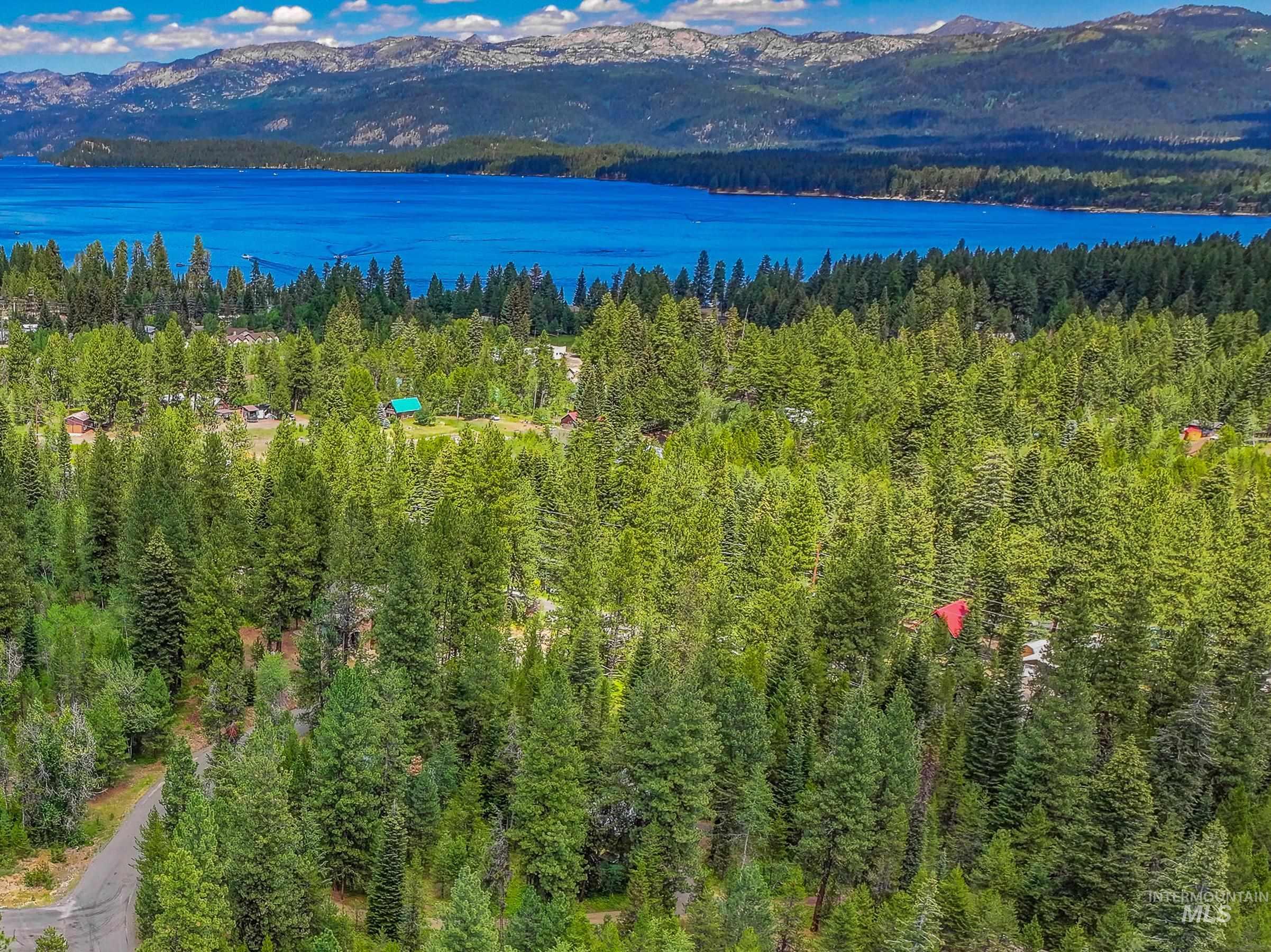 Bird's eye view of mountains and a heavily wooded area