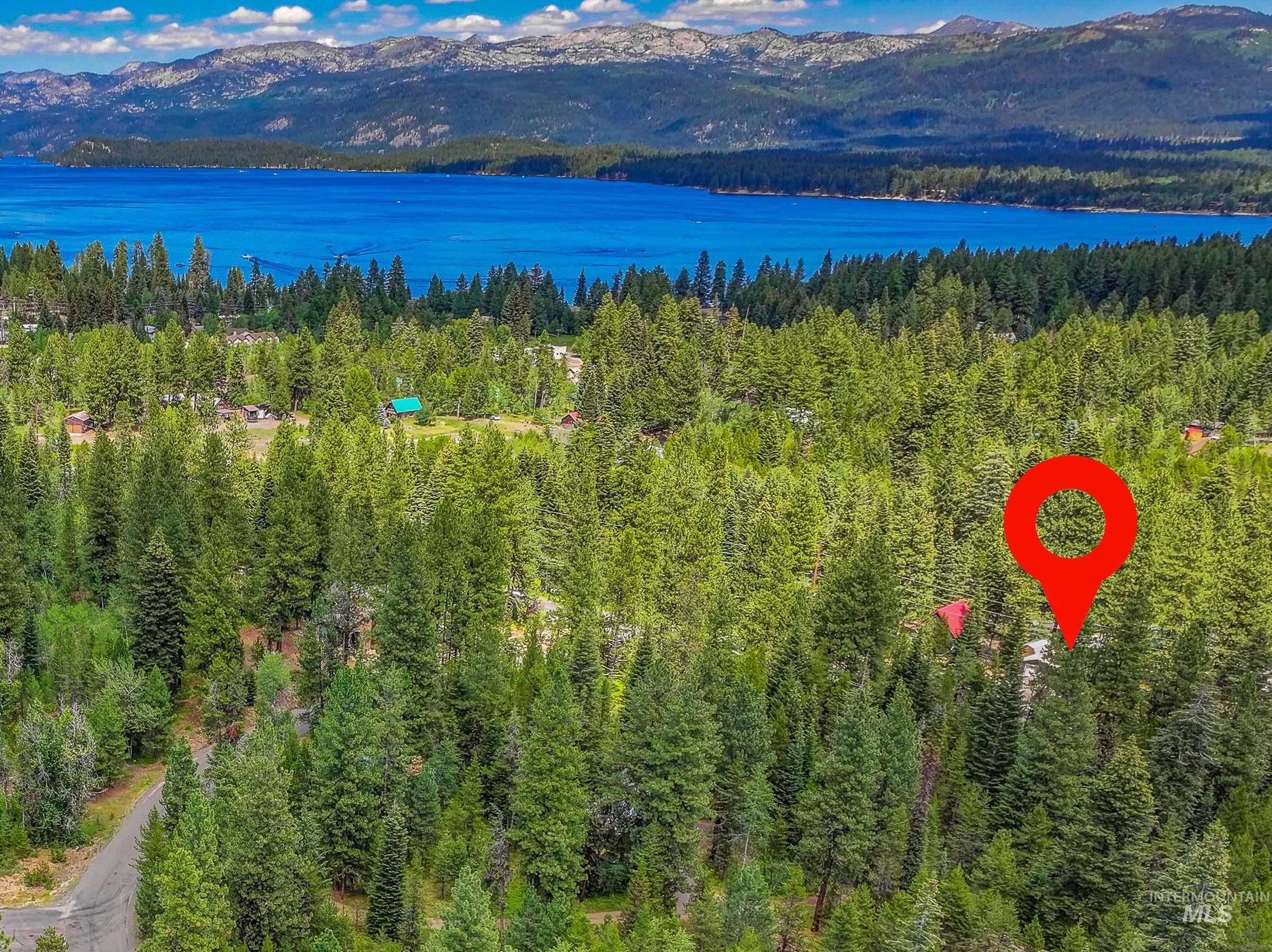 Bird's eye view of a mountain backdrop and a forest