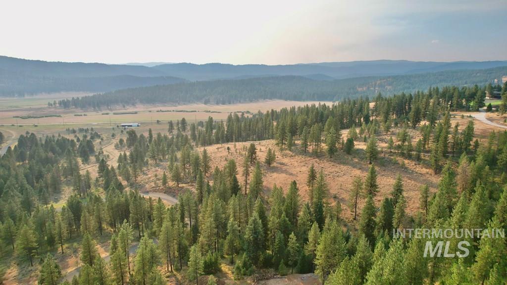 Mountain view with a forest