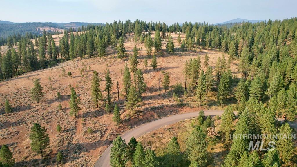 Aerial overview of property's location with a heavily wooded area
