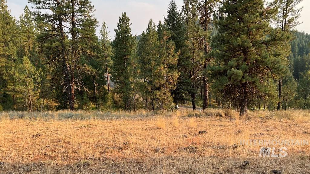 View of wooded area