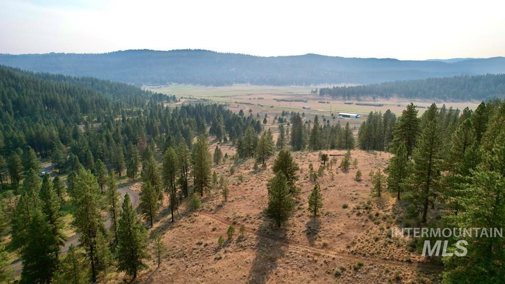 Mountain view with a heavily wooded area