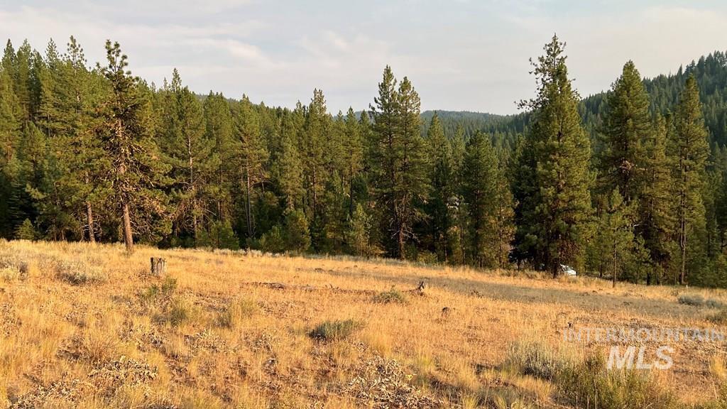 View of woods