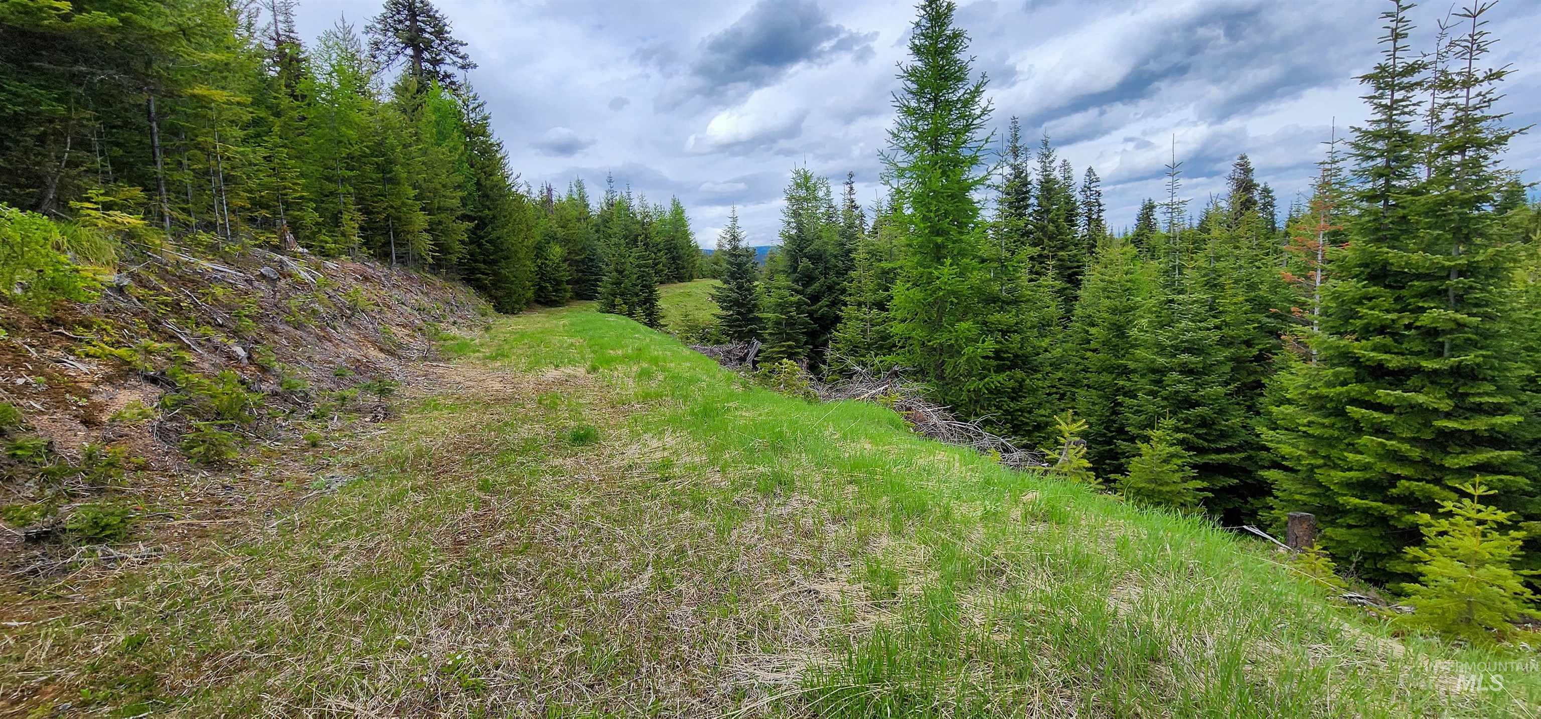 View of woods