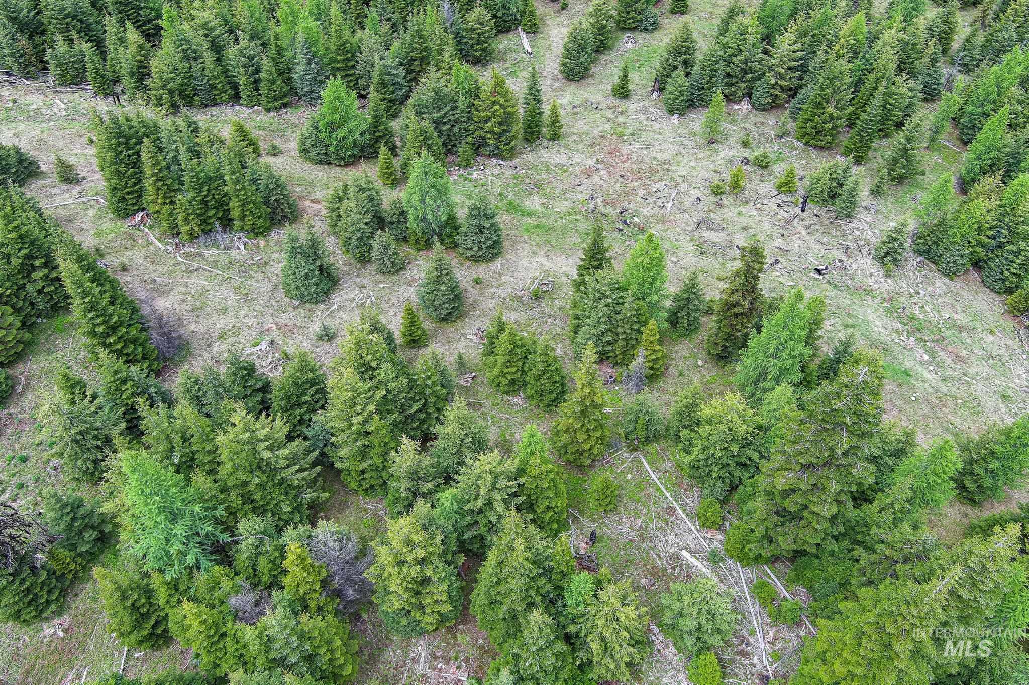 Aerial view of property's location