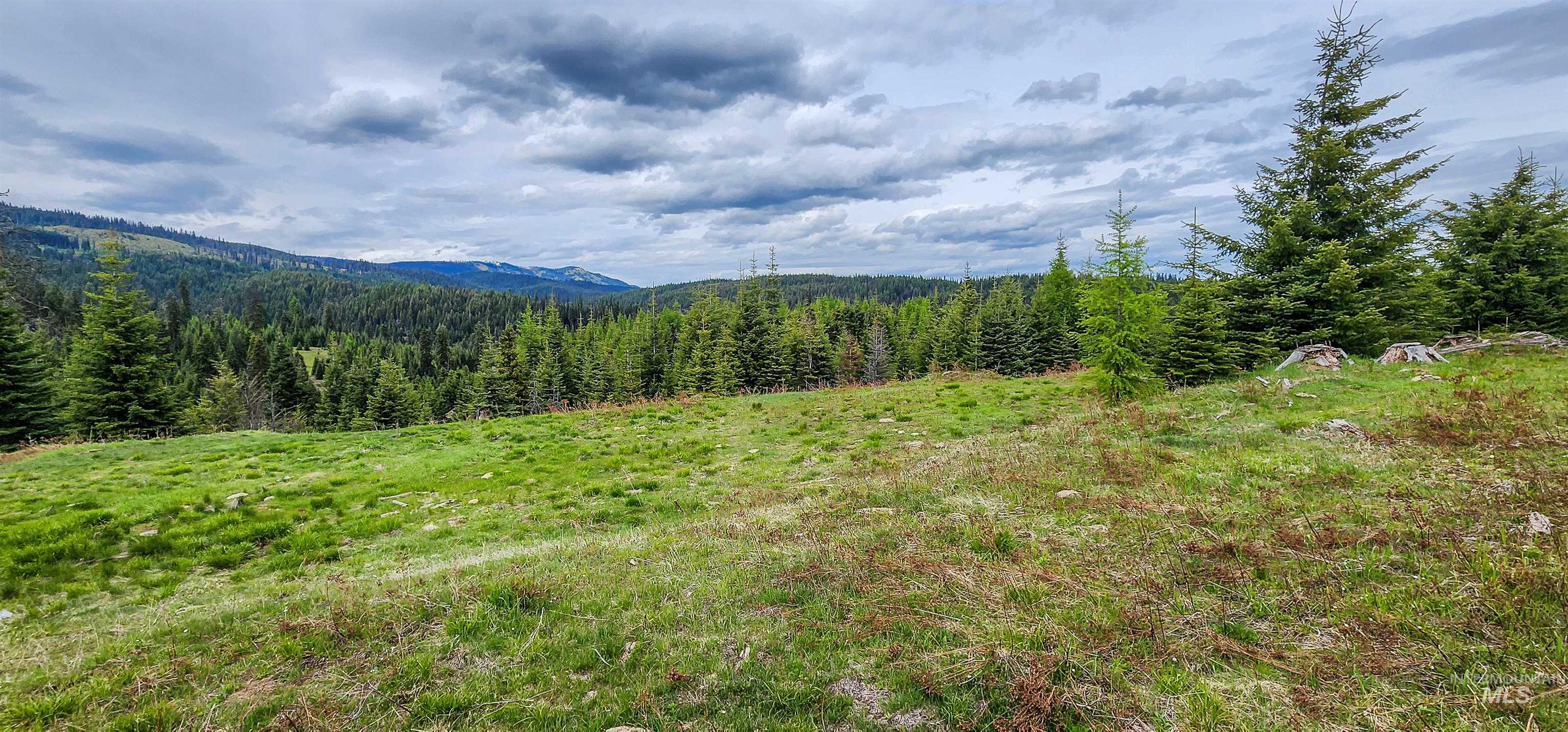 Mountain view with a heavily wooded area