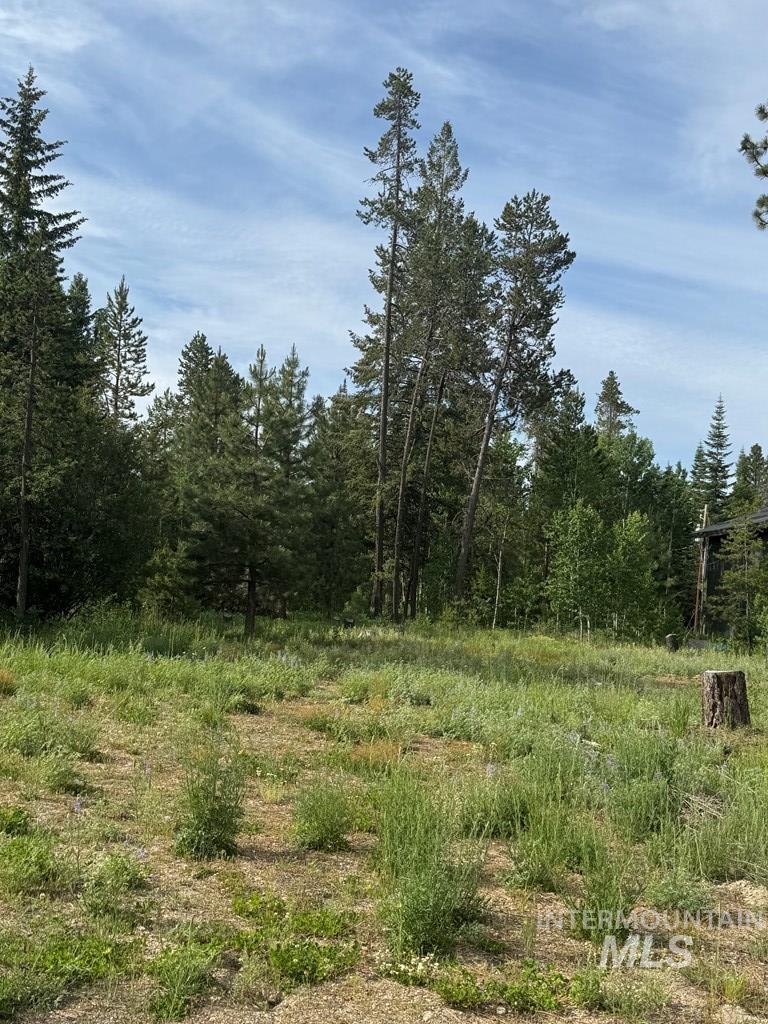 View of woods
