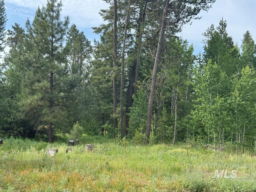 View of wooded area