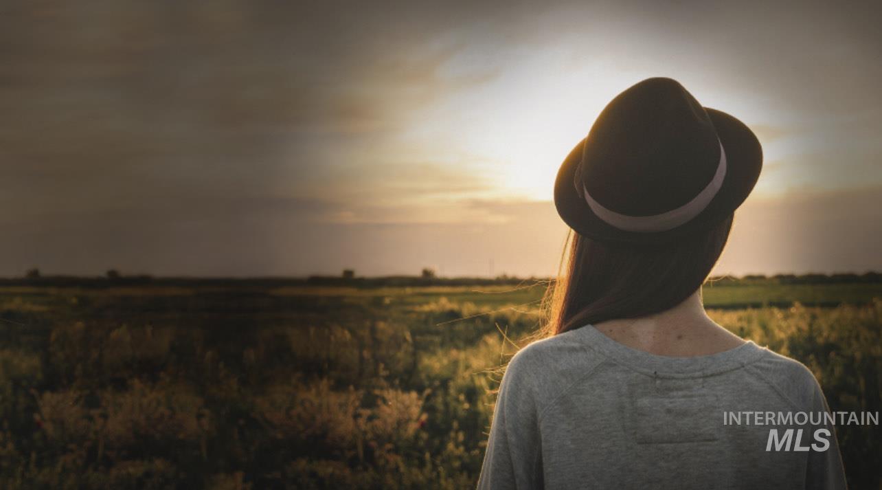 6190 W Lily Creek Ln, Nampa, Idaho 83687, 7 Bedrooms, 5.5 Bathrooms, Residential For Sale, Price $3,599,900, 98960800