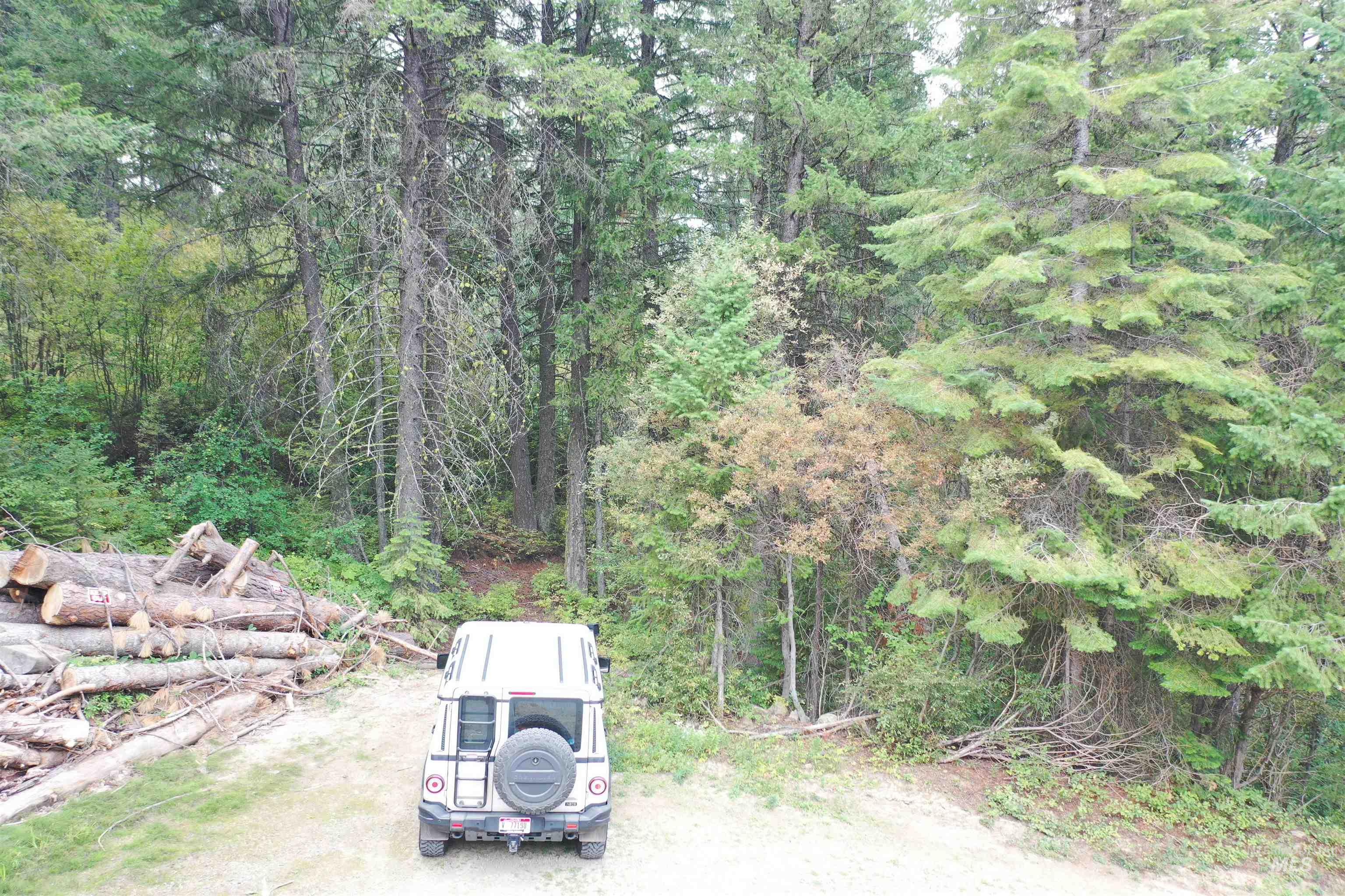 View of dirt / gravel road