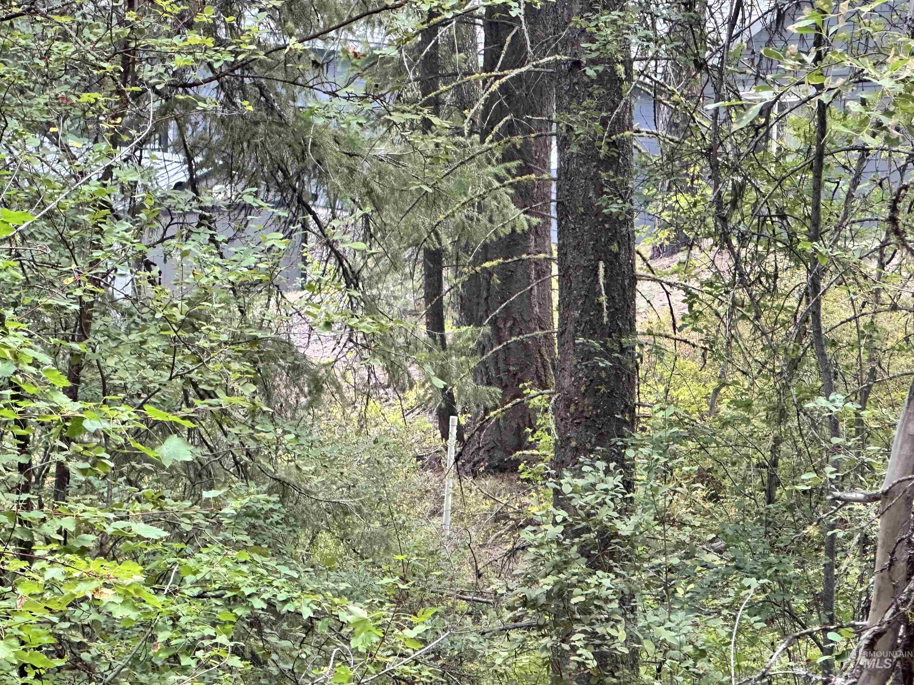 perc pipe location on the north side of the trail on the property