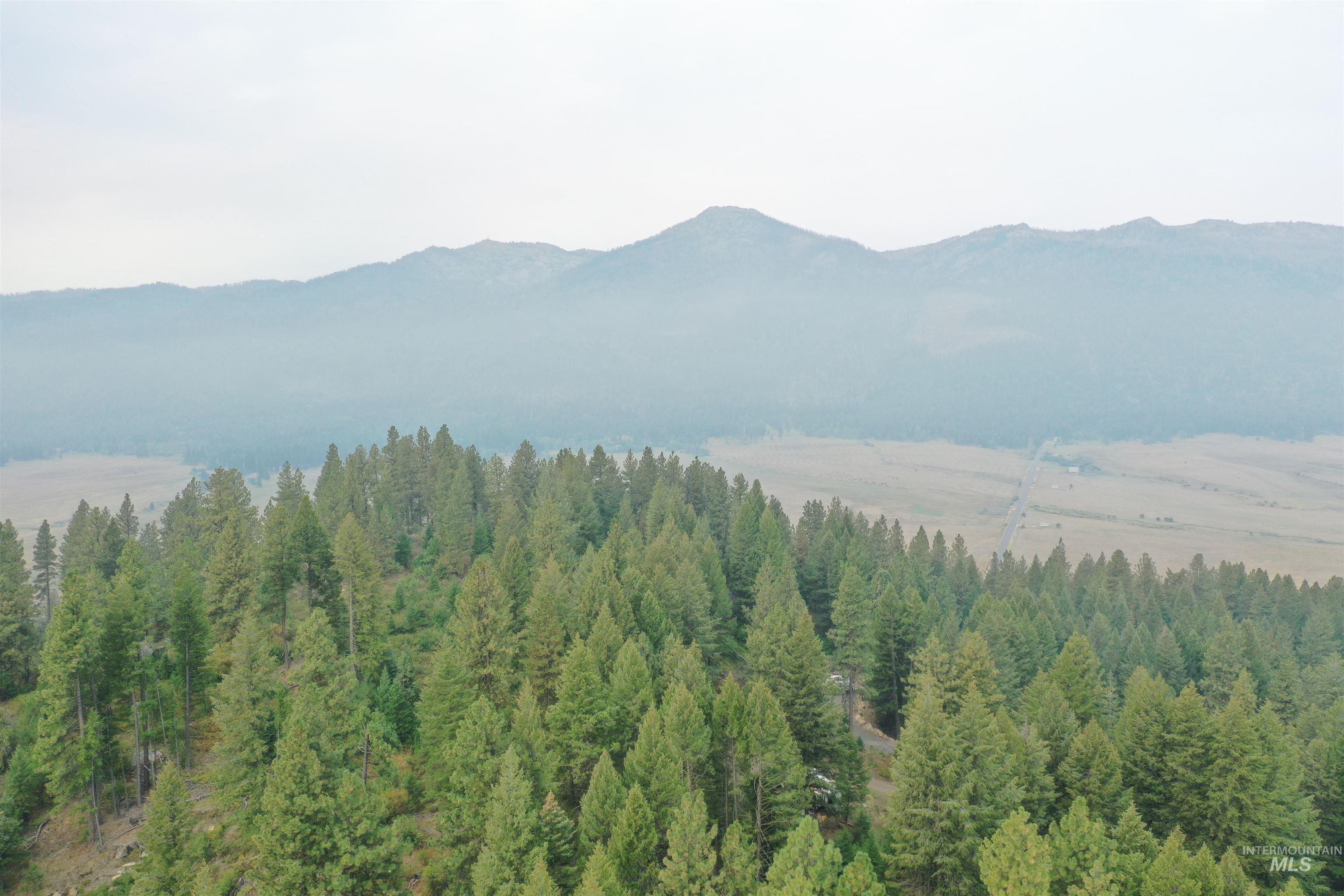 Mountain view featuring a forest