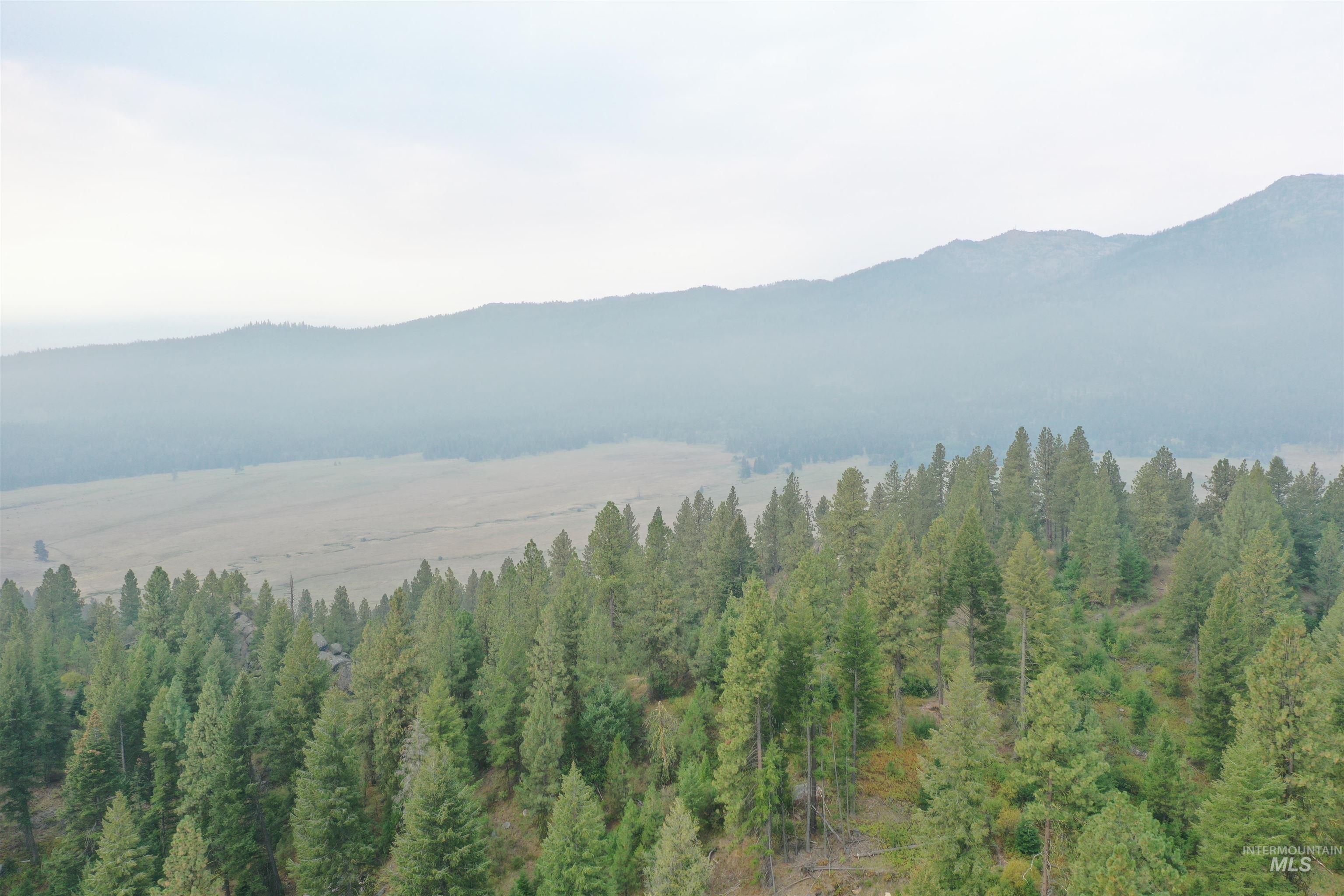 View of mountain backdrop with a forest