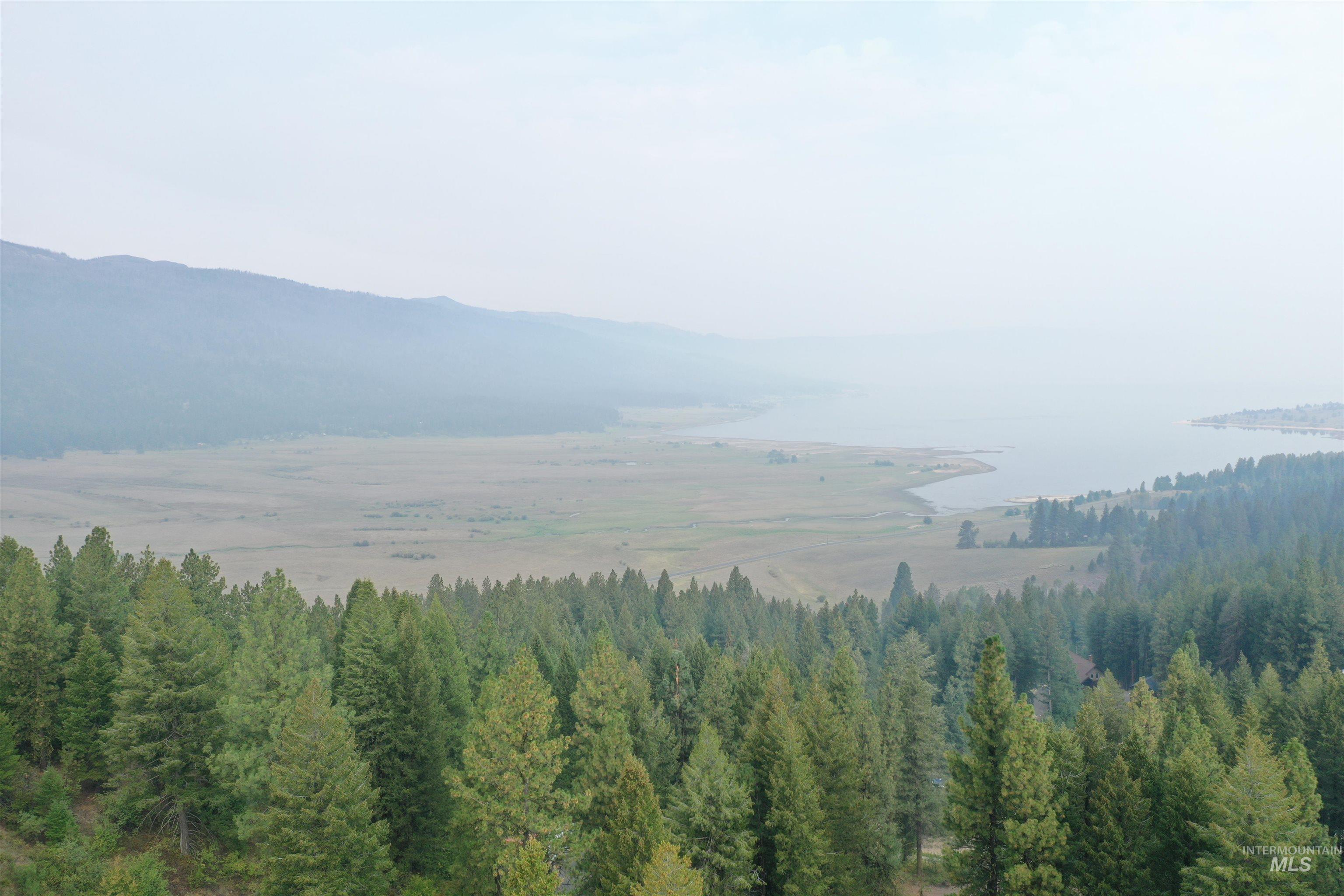Mountain view with a heavily wooded area