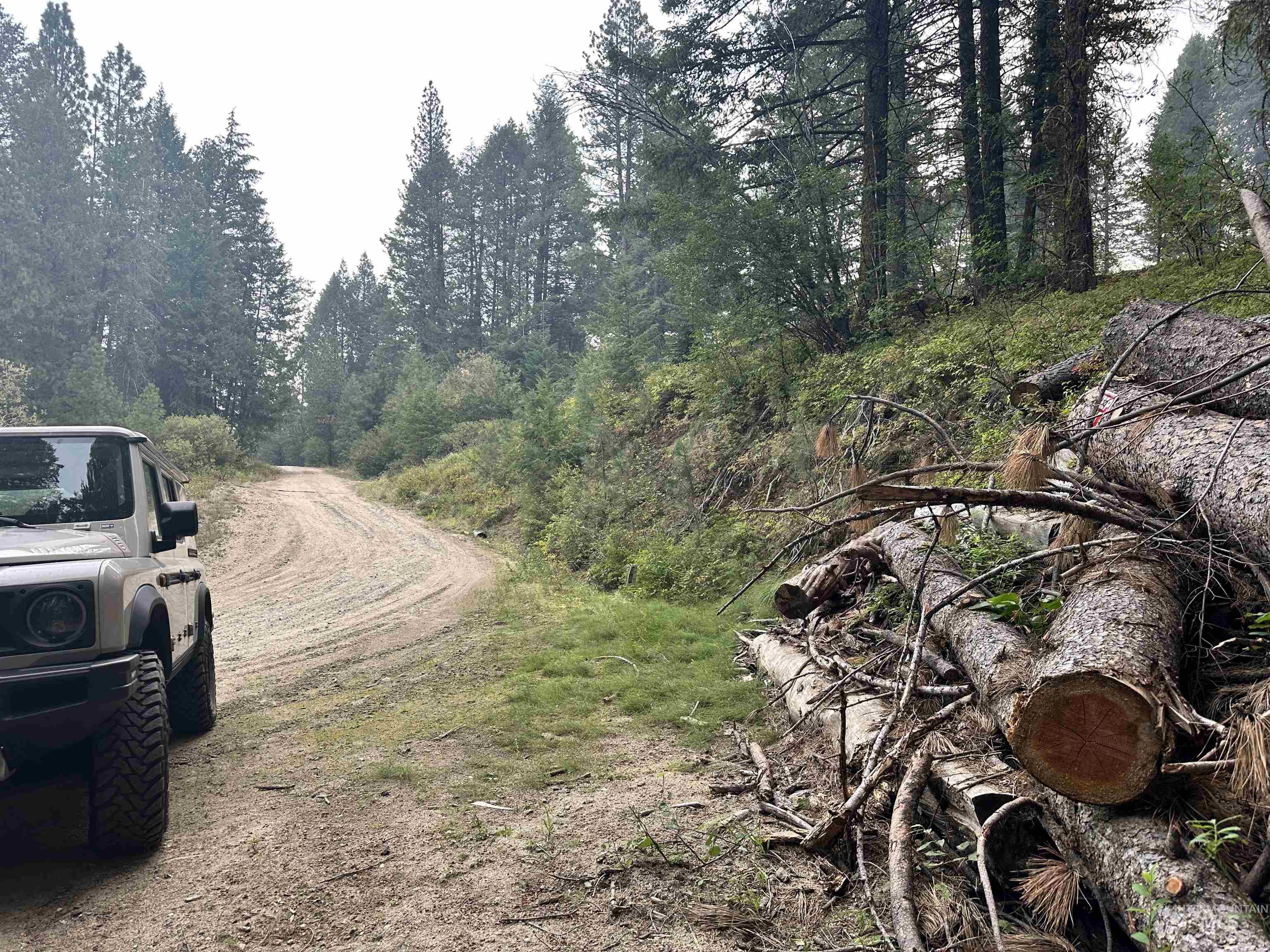 View of road with a forest view