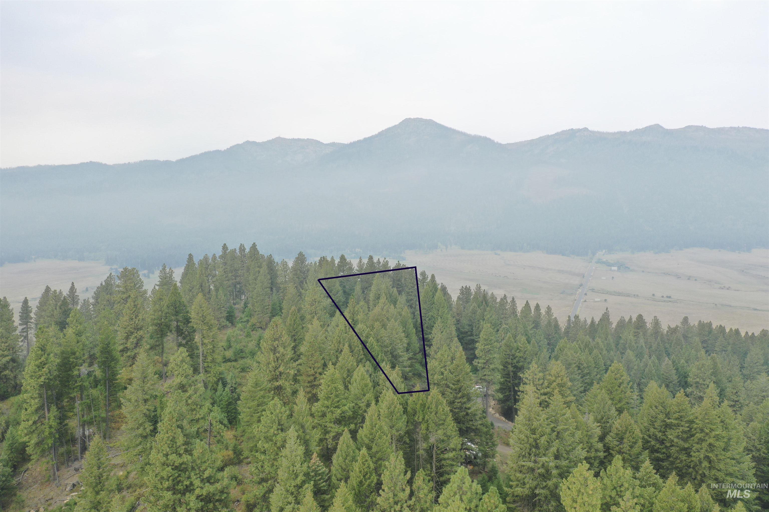 Mountain view featuring a forest
