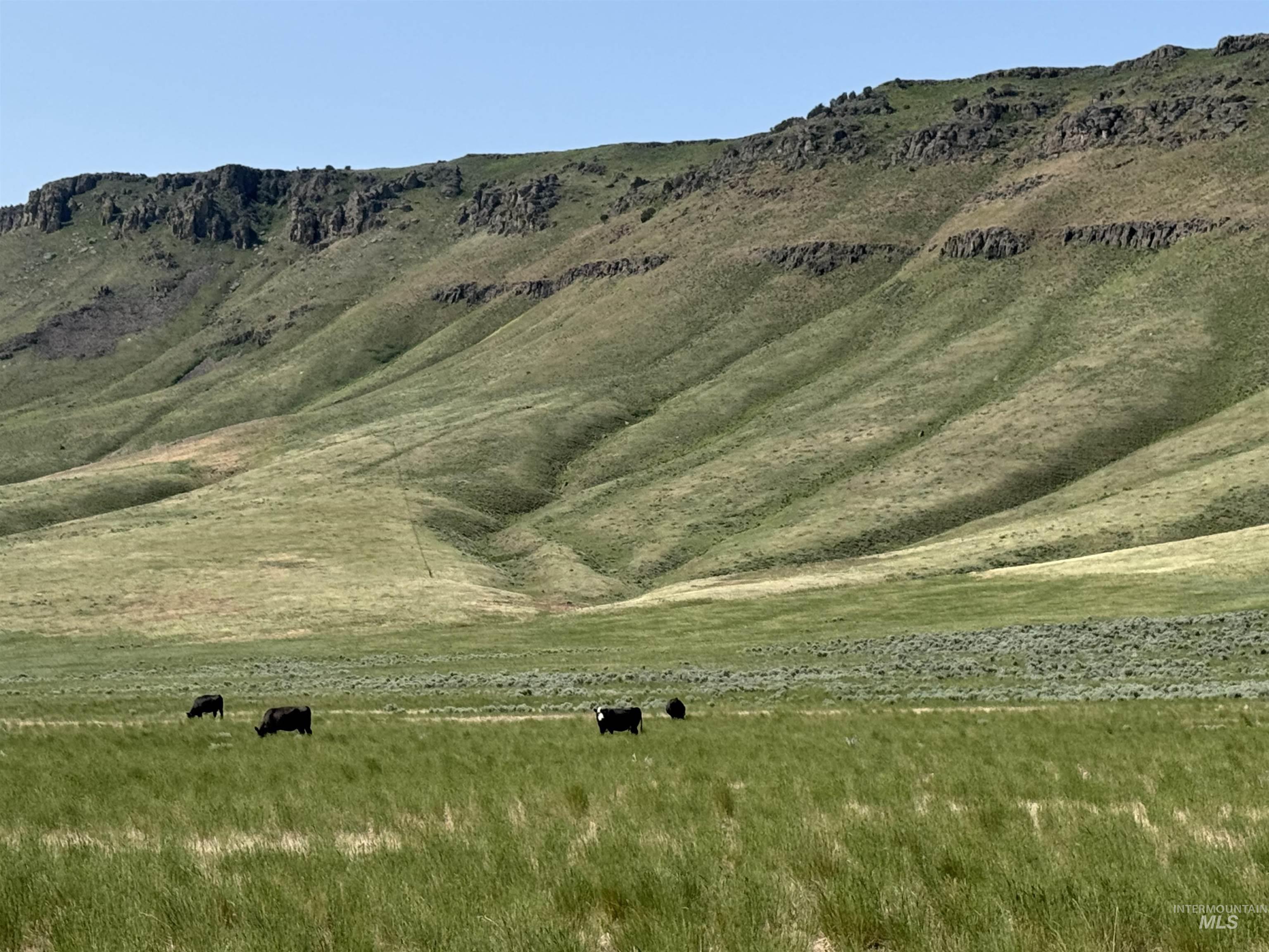 HWY 81, Declo, Idaho 83323, Land For Sale, Price $3,900,000, 98960822