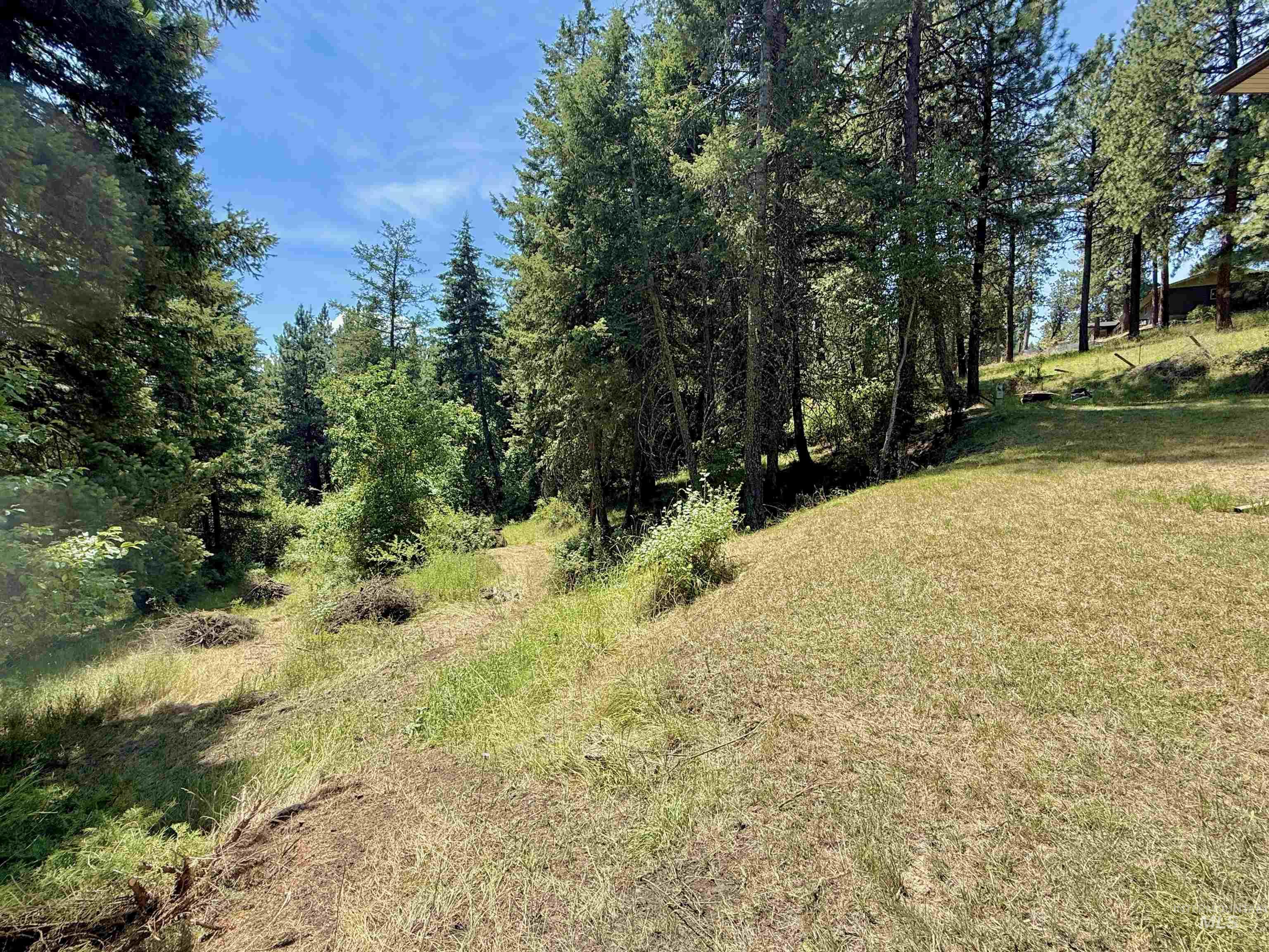View of undeveloped land