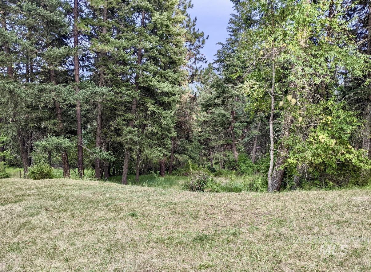 View of woods